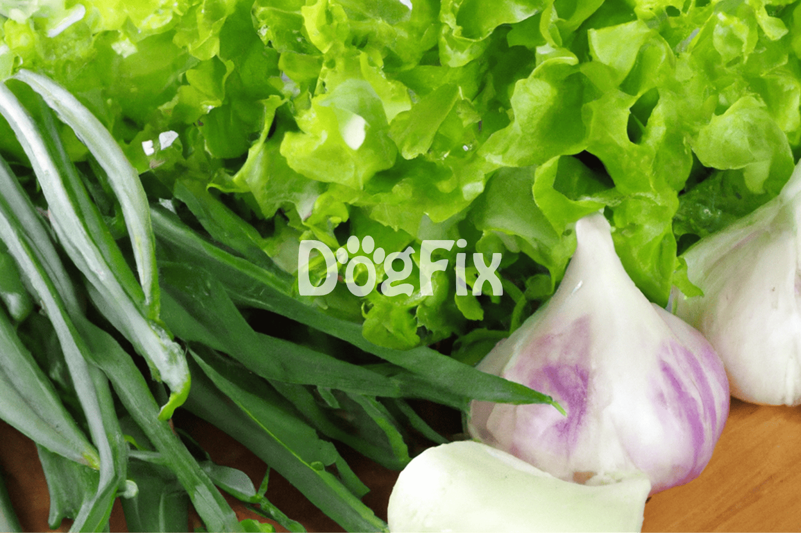 Vibrant leafy greens and garlic bulbs on wooden surface.