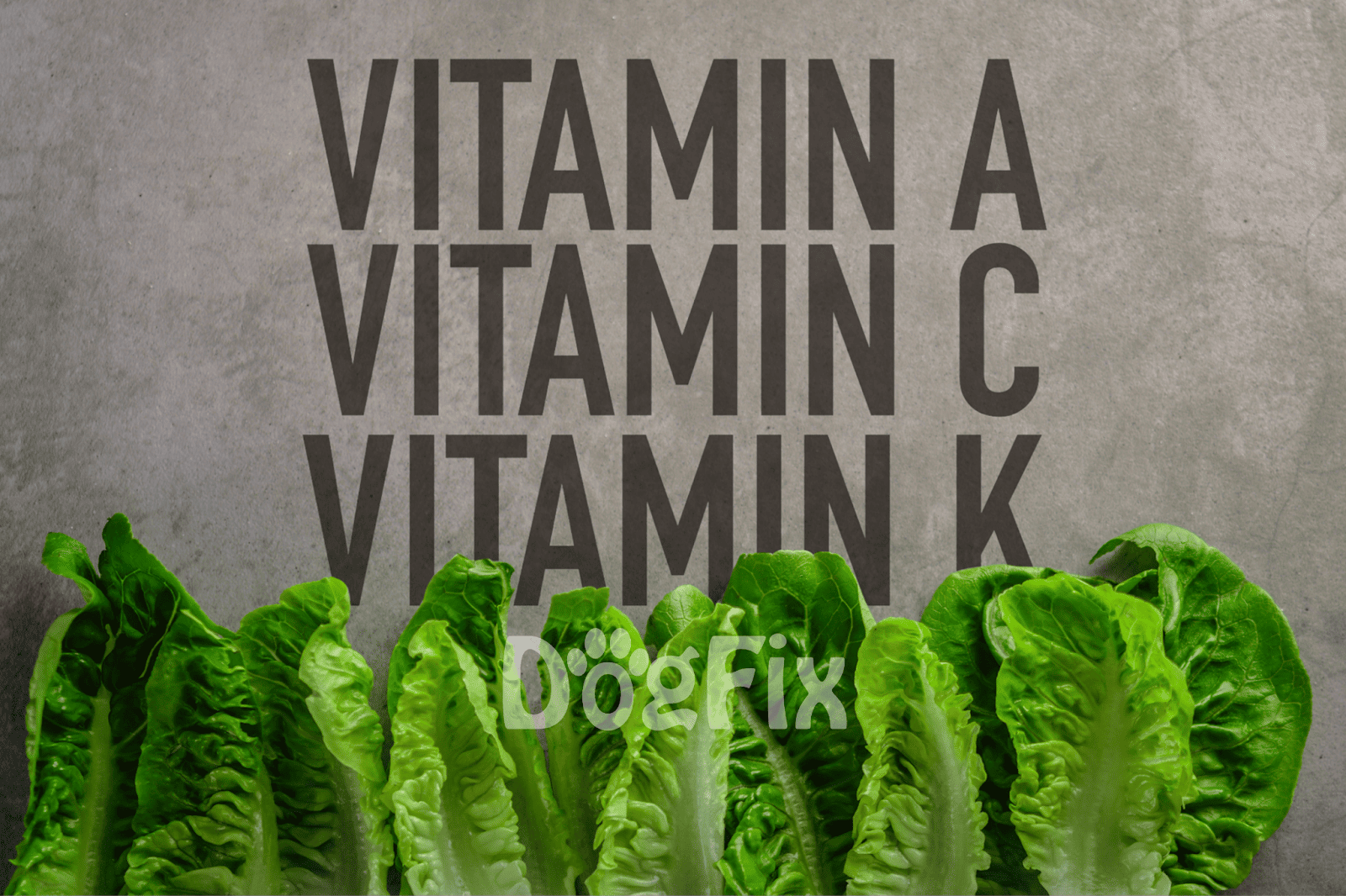 Vitamins dietary supplement for dogs with essential nutrients like A, C, K, and K.