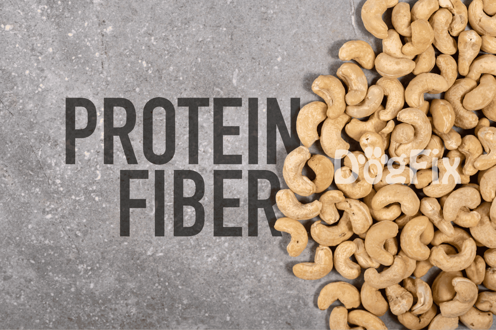 Healthy dog treats with high protein and fiber for canine wellness.