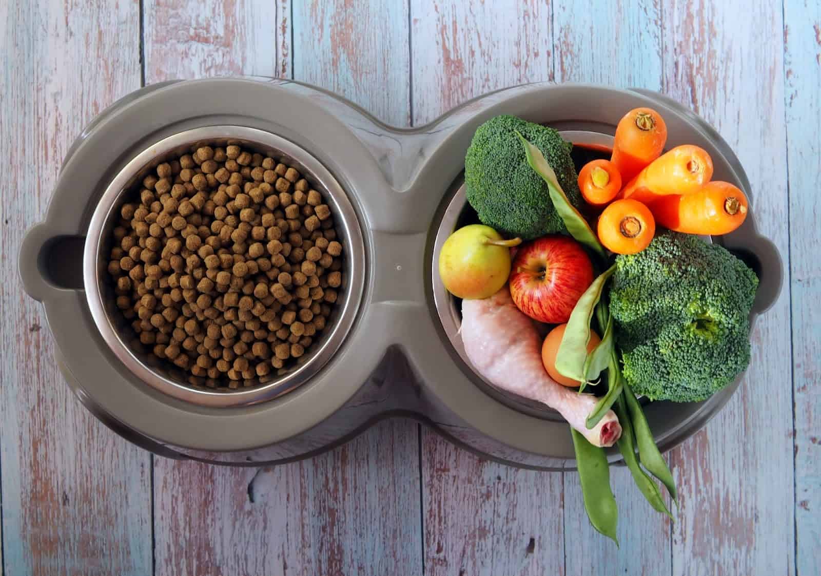 Dog bowl filled with dry dog food and fresh vegetables on a rustic wooden surface.