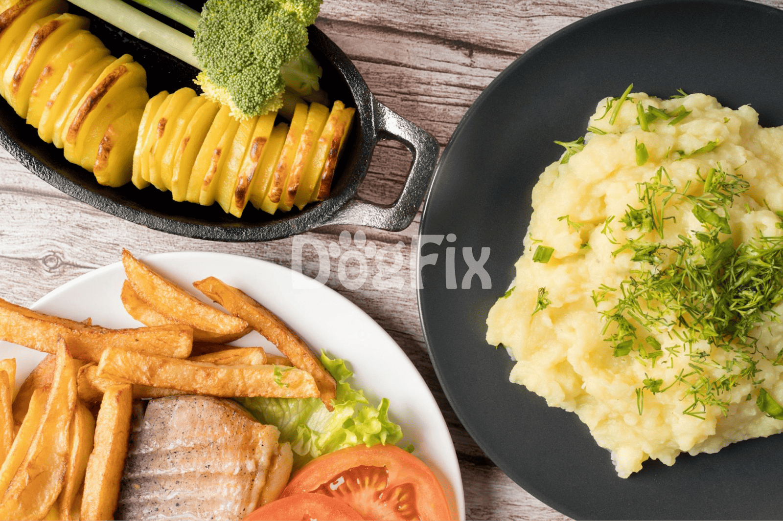 Healthy dog food meal with mashed potatoes and fresh vegetables.