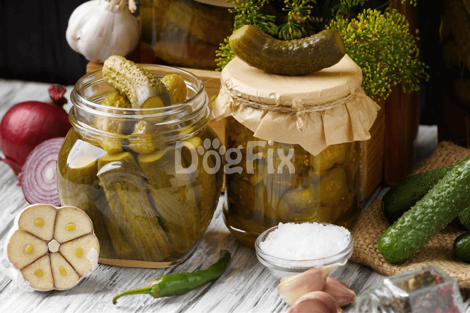 Fresh pickles and vegetables in jars, garlic, and seasonings for homemade dog treats and healthy pet food options.
