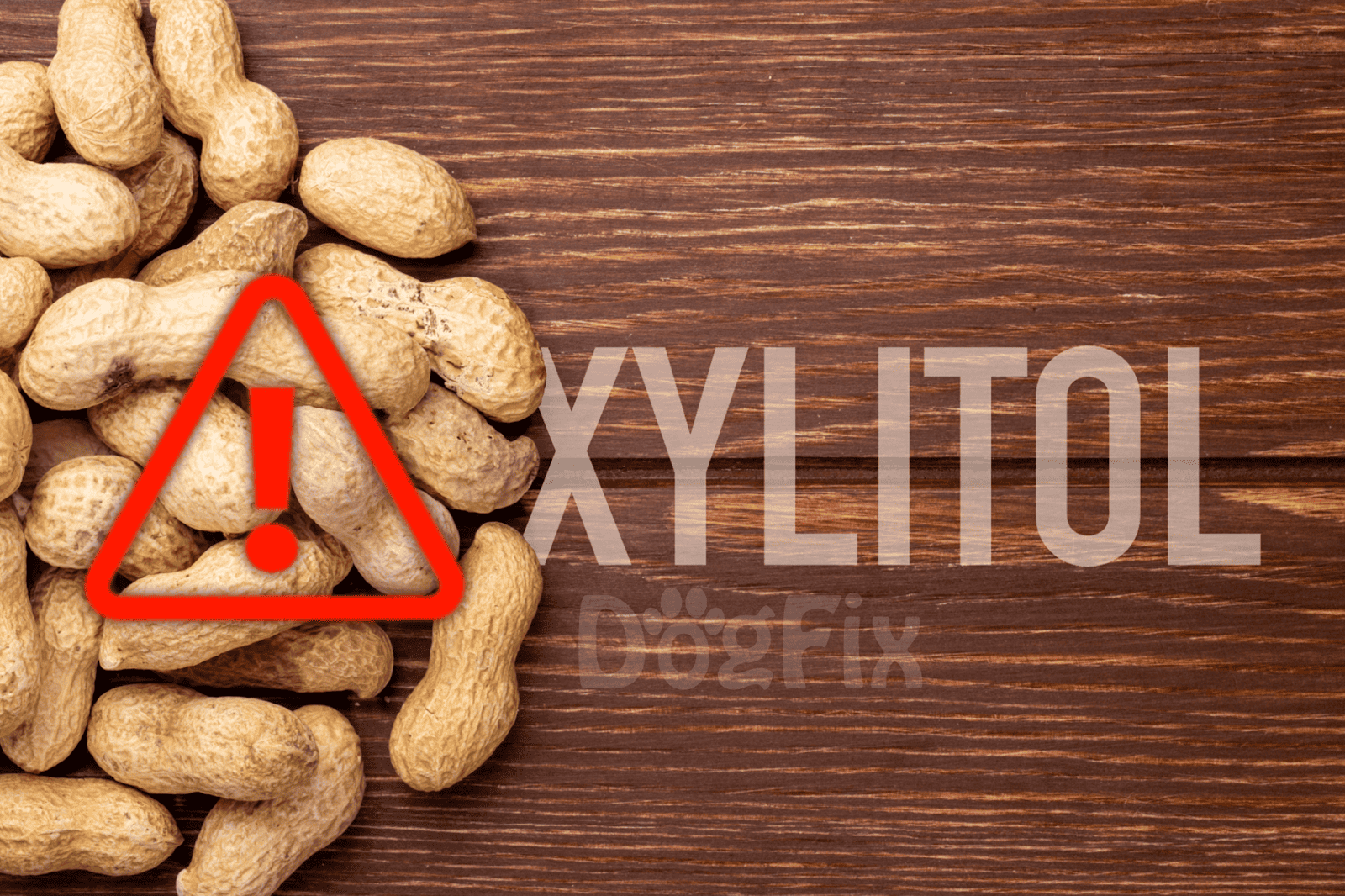 Warning: Peanut allergy alert for dog owners and pet safety advice.