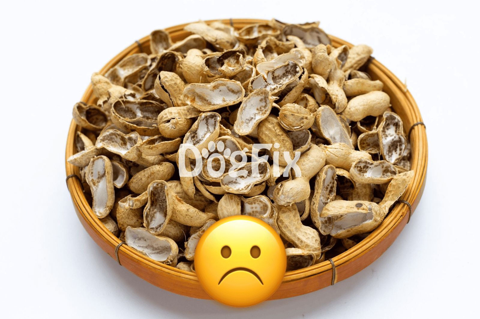 Close-up of a basket filled with unshelled peanuts, suitable as dog treats or safe snacks for pets.