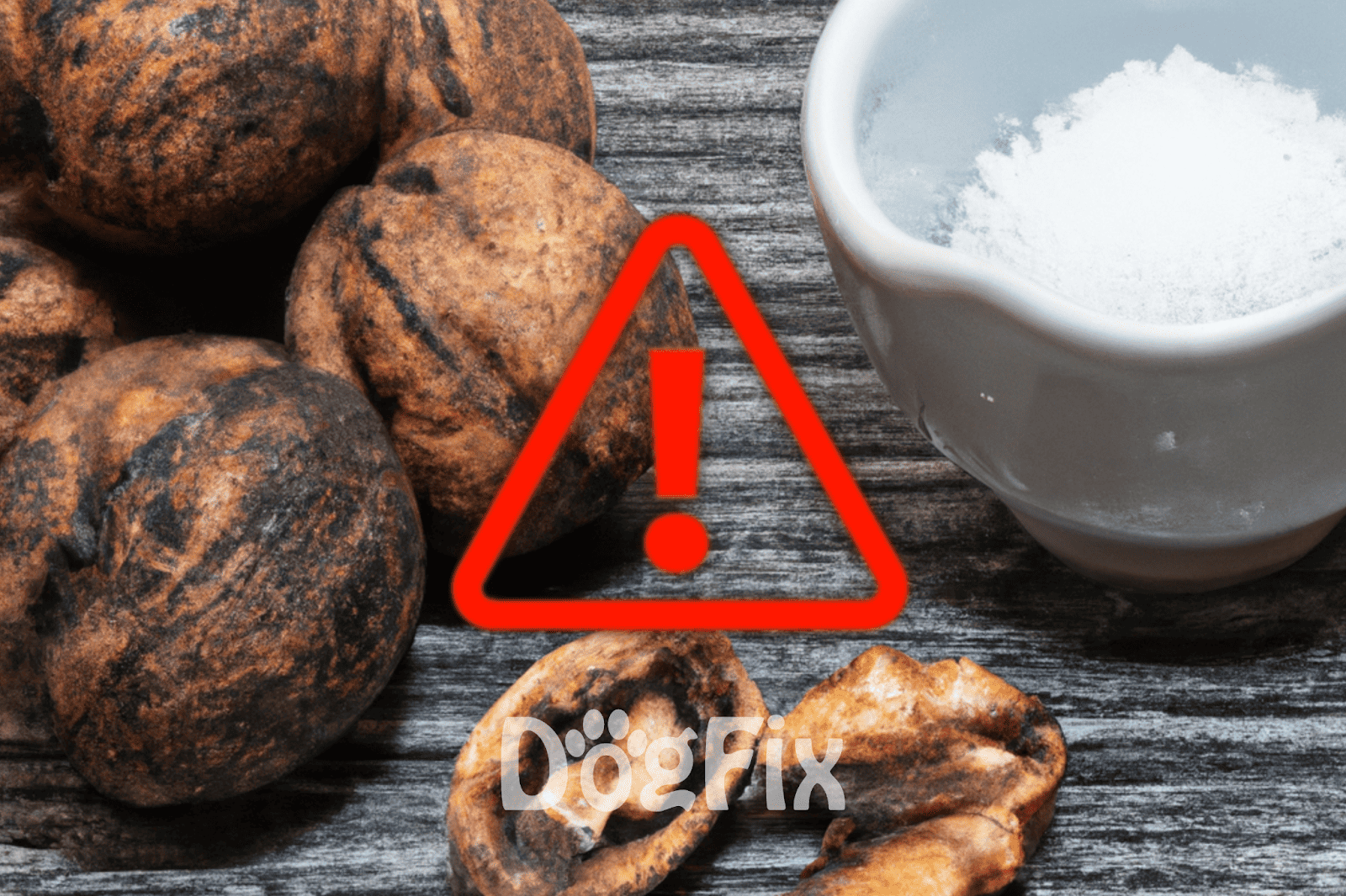 Allergic reactions and poisoning risk from chocolate treats. Keep cocoa away from pets.