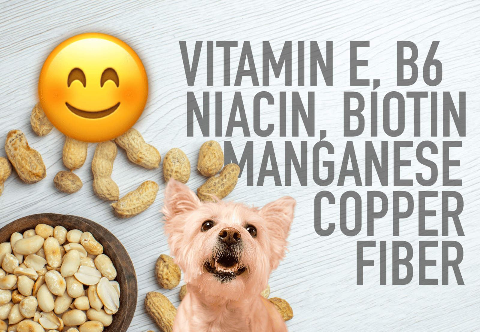 Rich in Vitamin E, B6, Niacin, Biotin, Manganese, Copper, and Fiber for canine health.