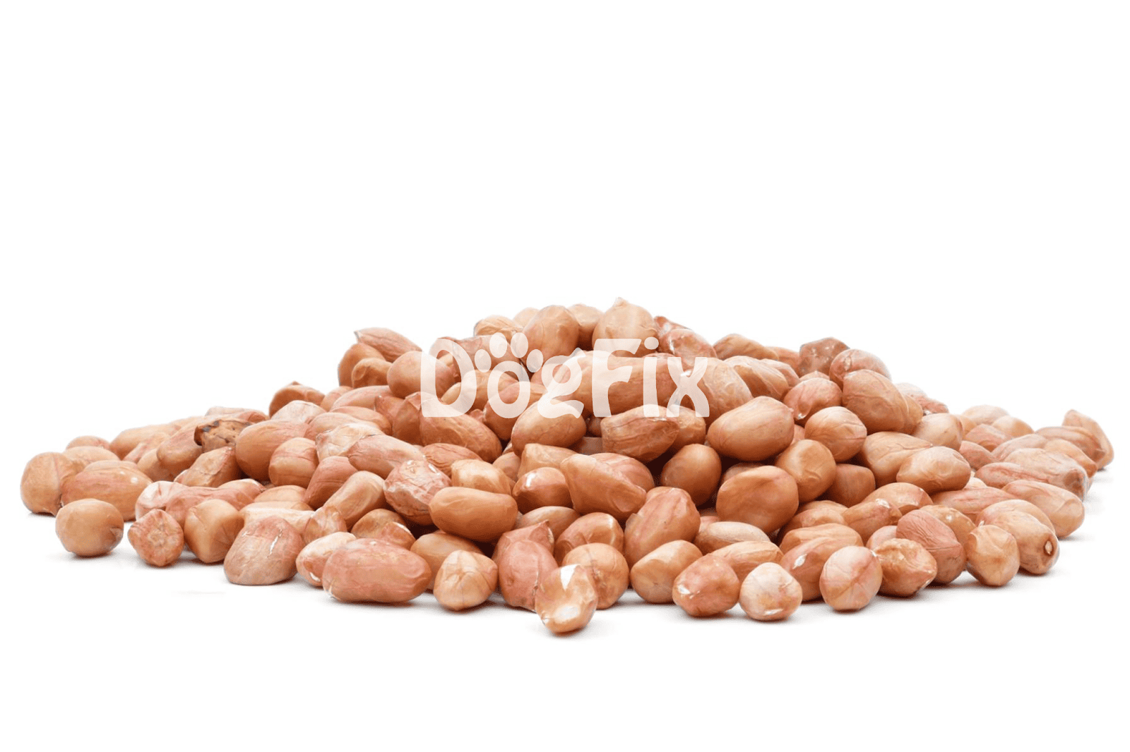 Healthy nuts for dogs on white background, natural dog treats, safe snacks for canine health.