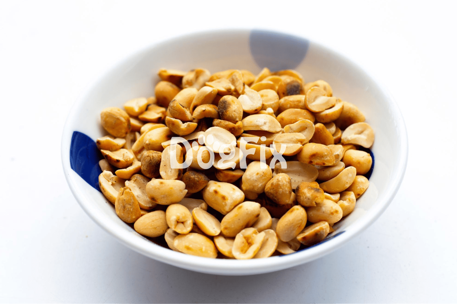 Close-up of roasted peanut treats for dogs in a white and blue bowl.
