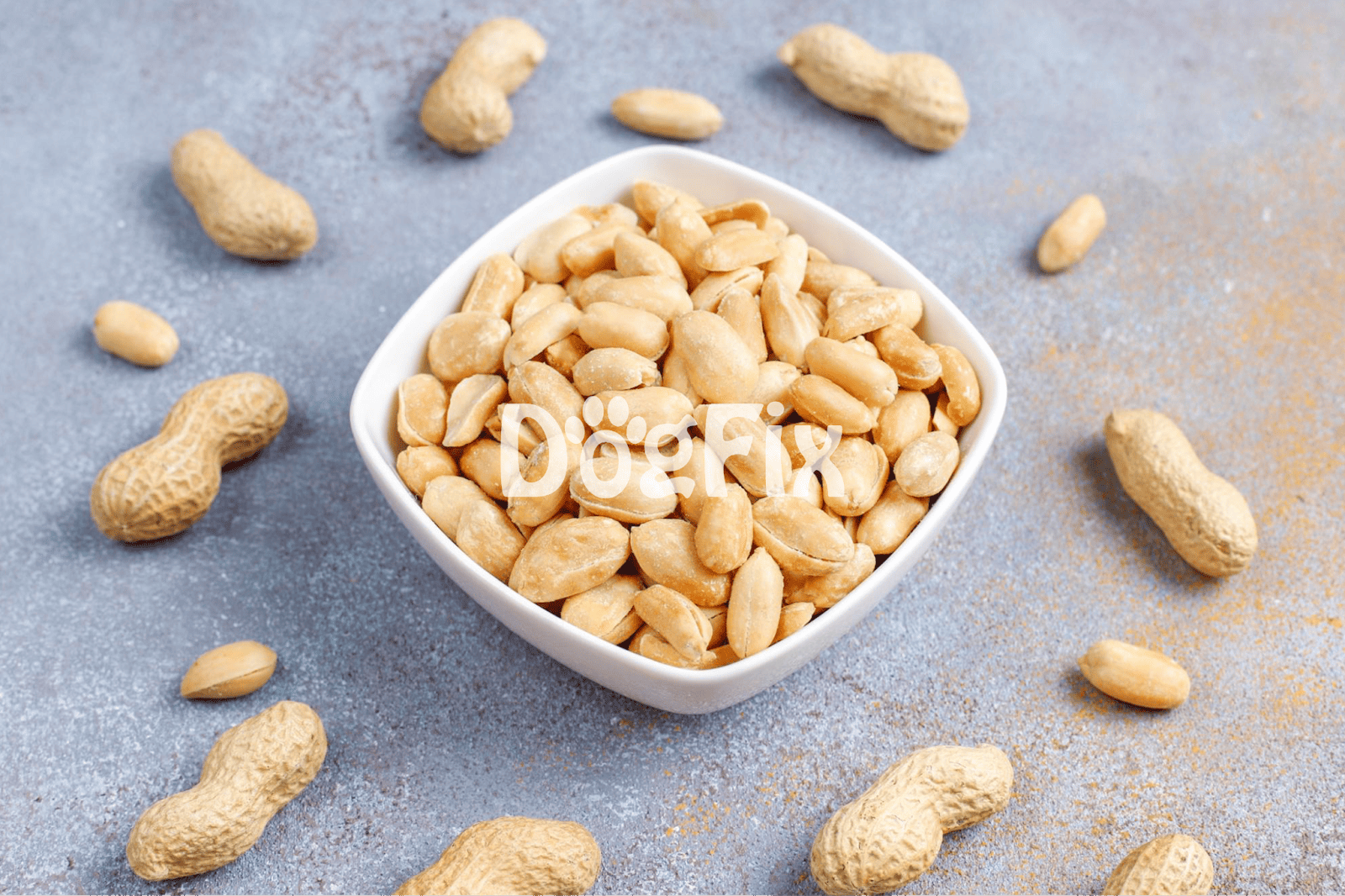 Peanut shaped dog treats in a white bowl with scattered peanuts around, on a textured gray surface.