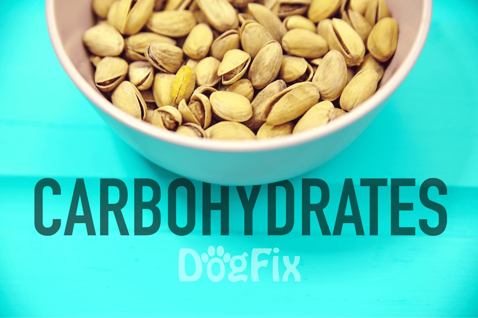 Healthy high-fiber carbohydrate food for dogs, showing pistachios in a bowl on a turquoise background.