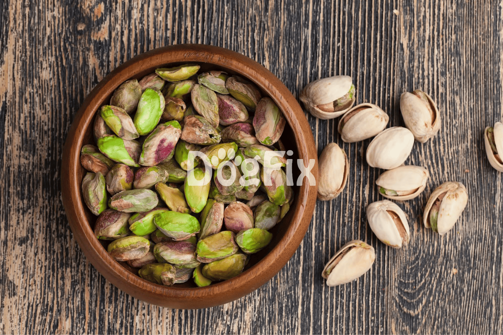 Close-up of raw pistachios in shells, ideal for healthy dog treats and pet nutrition.