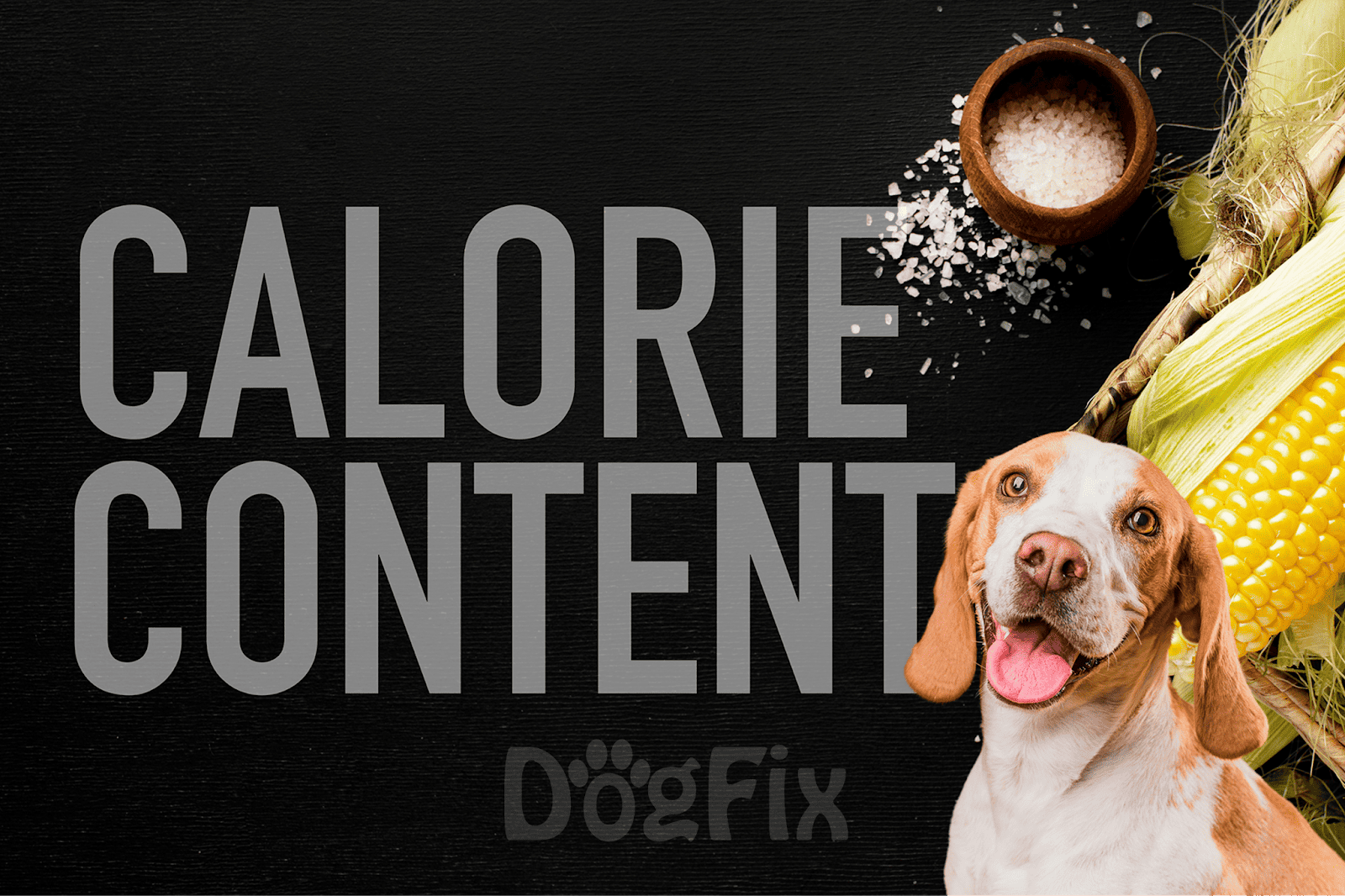 Dog-friendly healthy foods for calorie control and weight management.