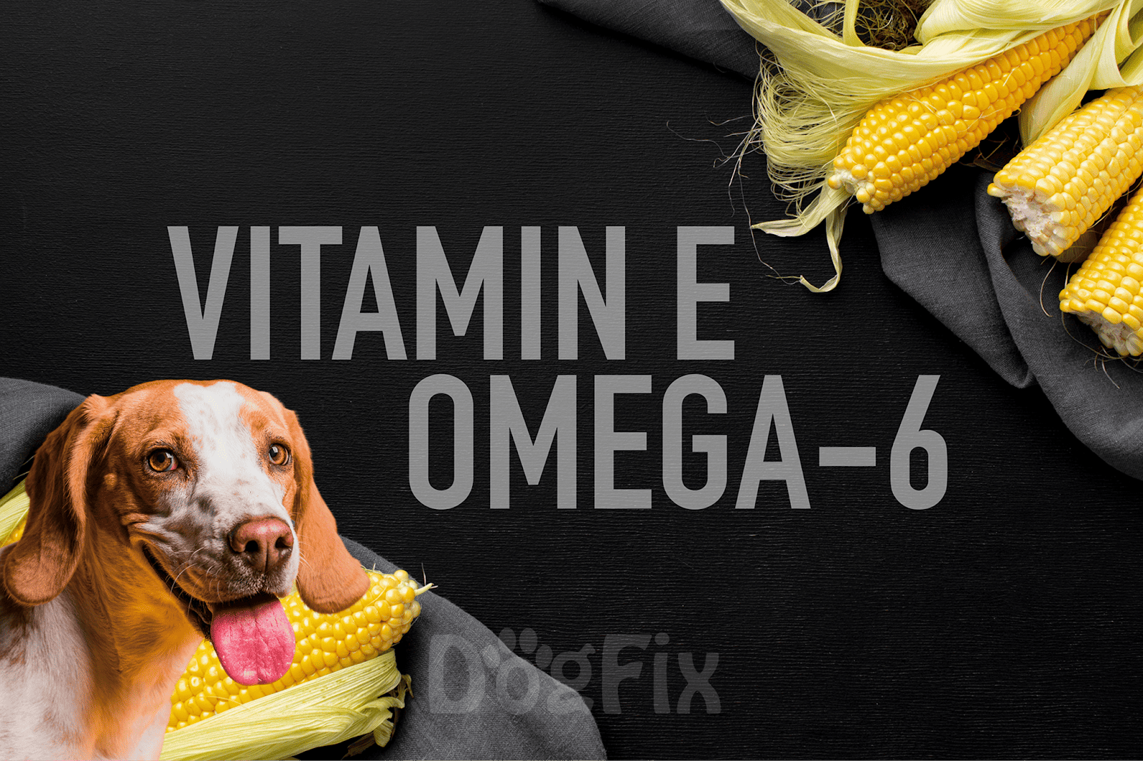 Dog with corn on black background, promoting dog health supplements.