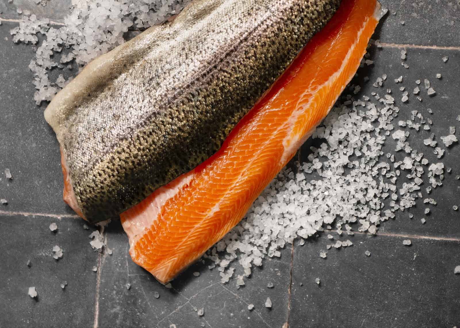 Salmon fish fillet on dark background with sea salt, healthy raw fish for dogs.