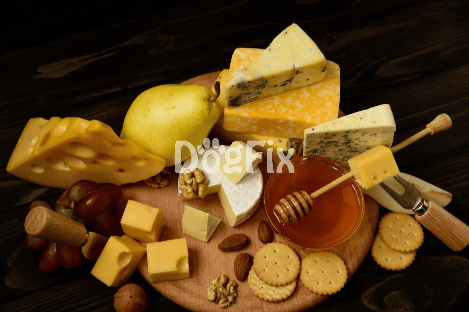 Dog-friendly cheese platter with cheeses, honey, fruit, and nuts for pets.