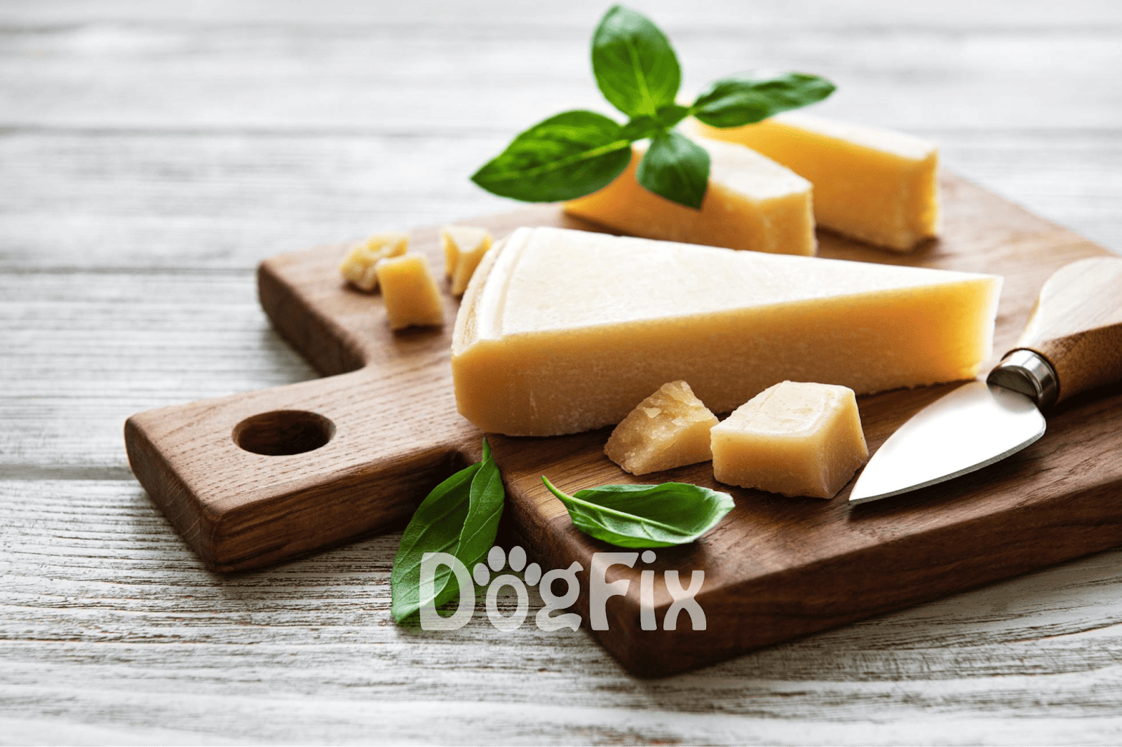Fresh cheese with basil on a rustic wooden cutting board, suitable for dogs' treats.