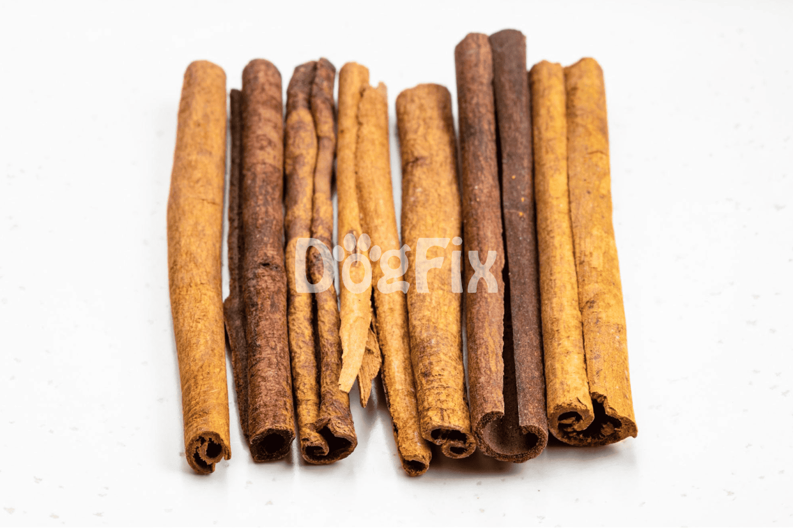 Cinnamon sticks on white background, natural dog treat, healthy dog snack, pet nutrition supplement.