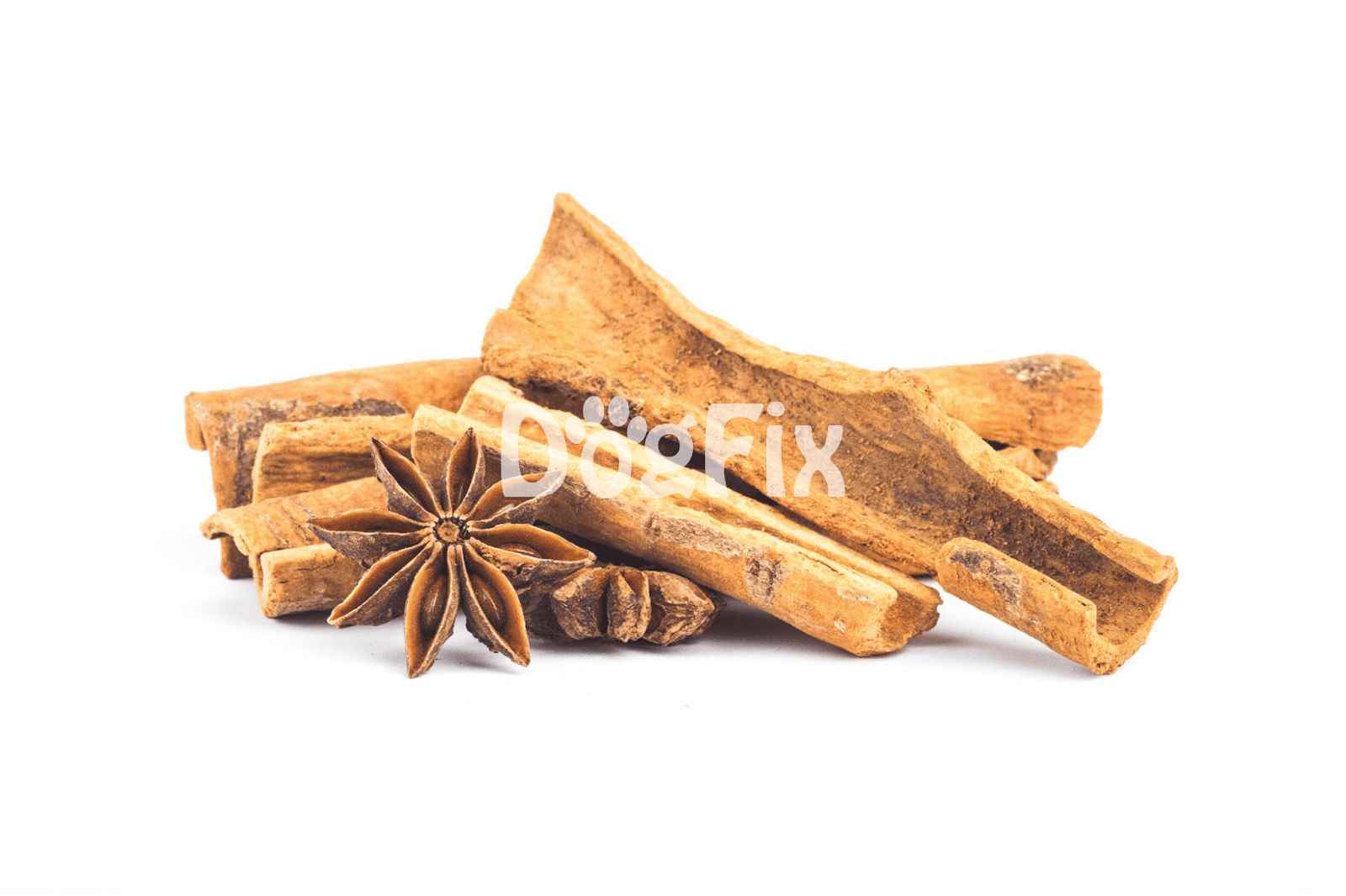 A photo of cinnamon sticks and star anise, highlighting natural ingredients for homemade dog treats.