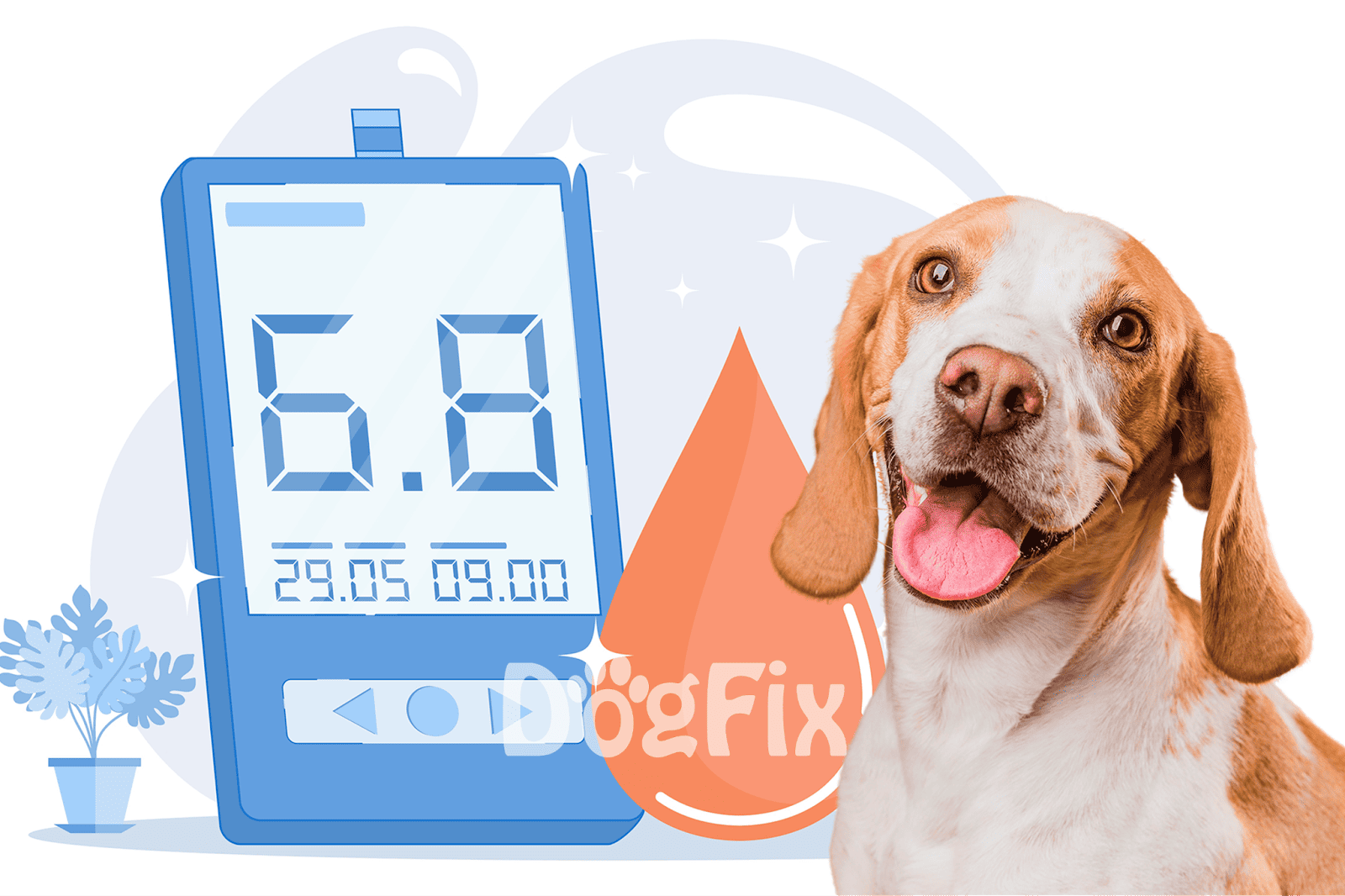 Dog sitting beside digital pet timer, pet care scheduling, dog health, and wellness reminders.
