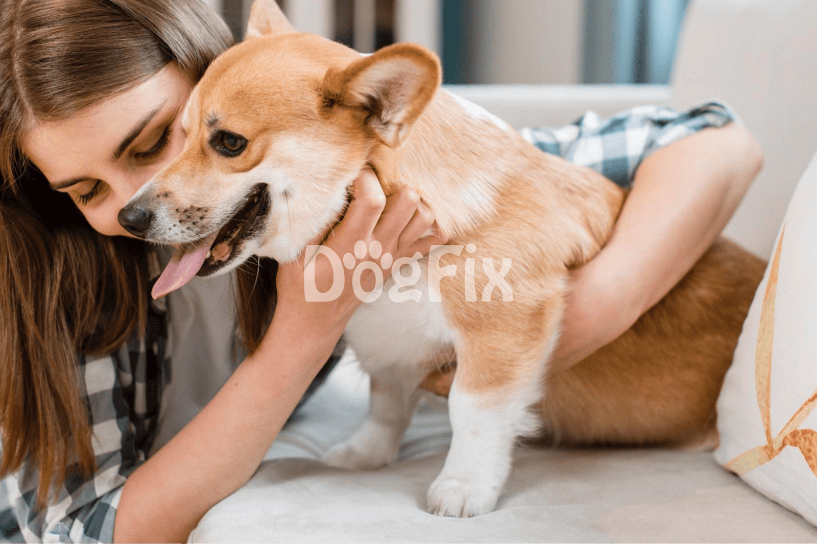 Adorable dog cuddling with owner on sofa, showing love and companionship, promoting pet care and bonding.