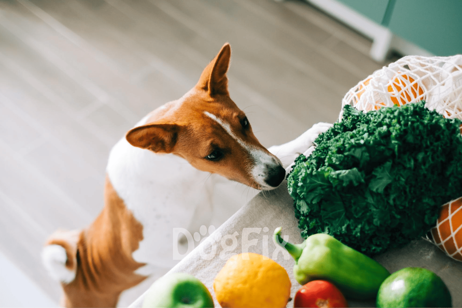 Healthy dog eating fresh vegetables and fruits for a balanced diet.