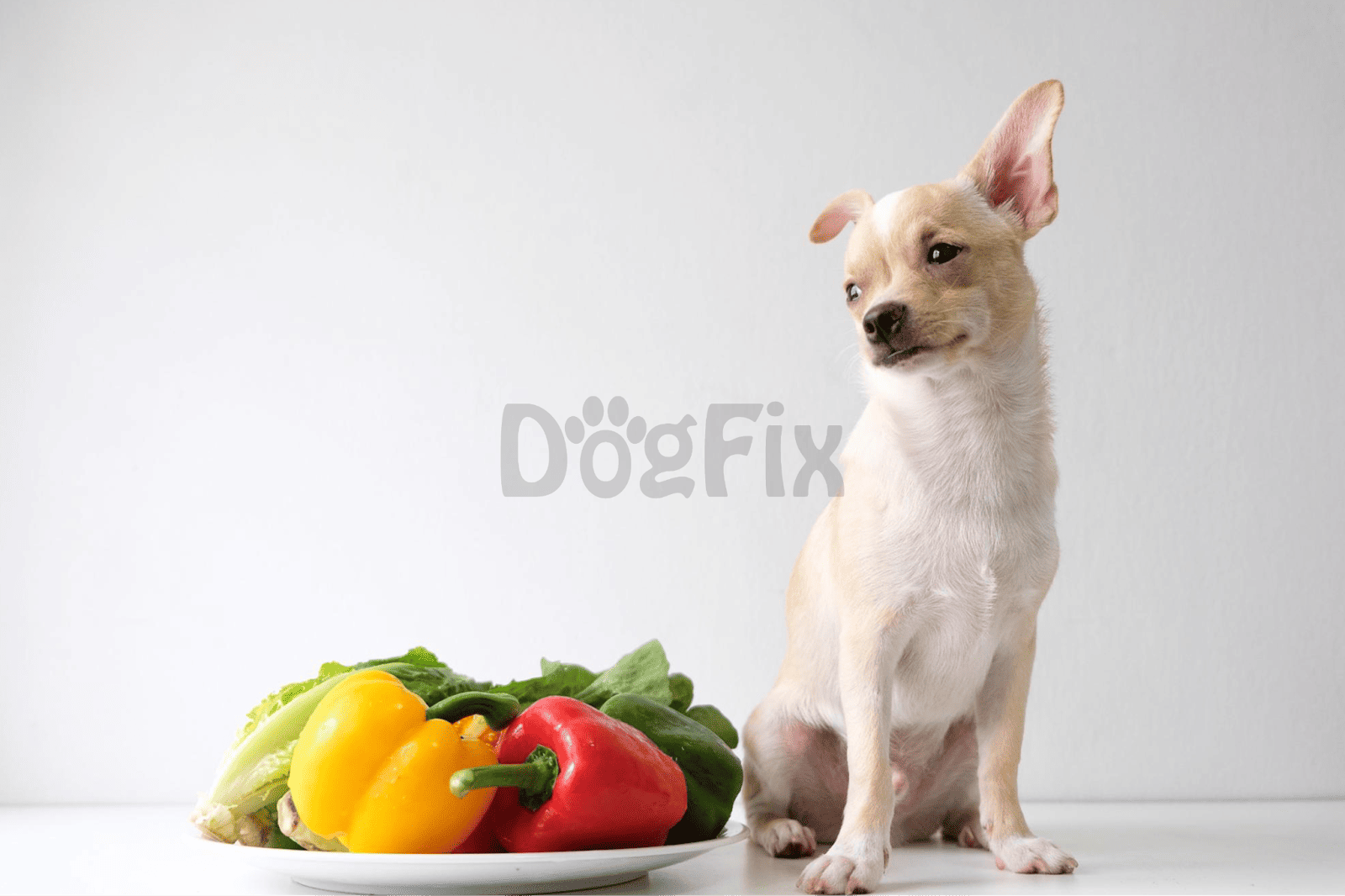 Adorable dog with fresh vegetables for healthy eating.