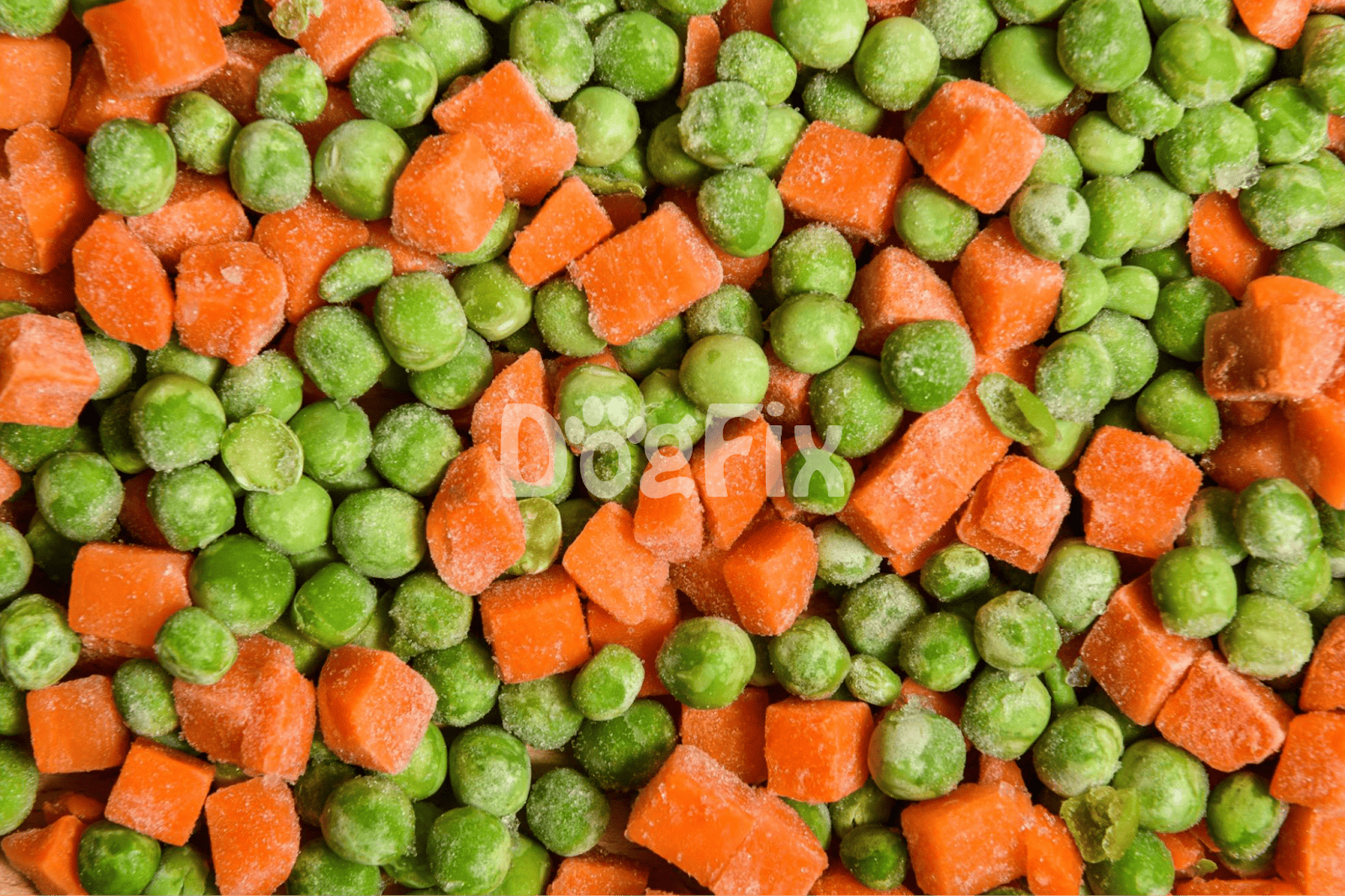 Frozen peas and carrots dog treats, healthy dog food ingredients, nutritious pet snacks.