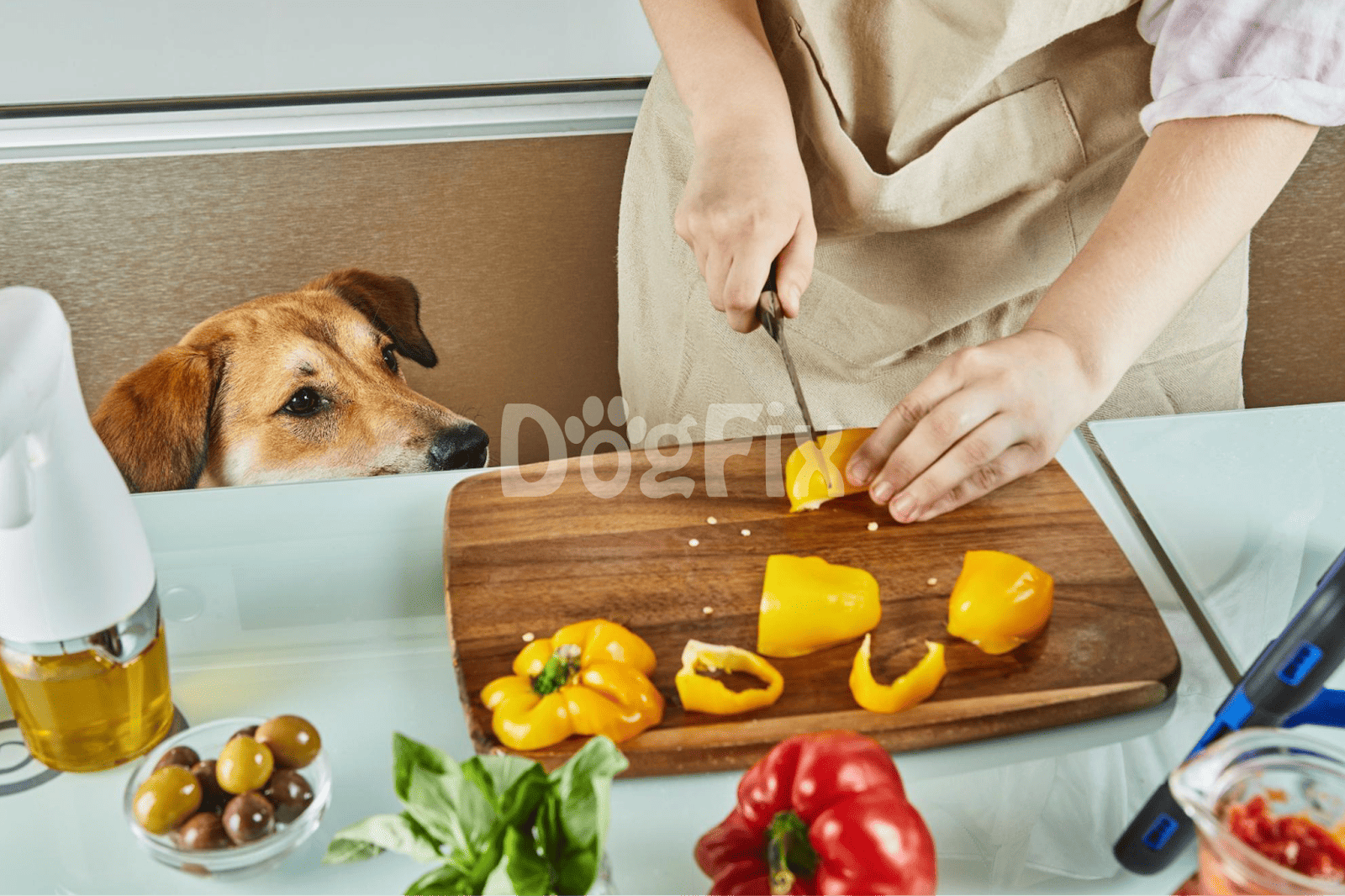 ALT text: Person slicing yellow bell peppers with dog watching eagerly at the counter.