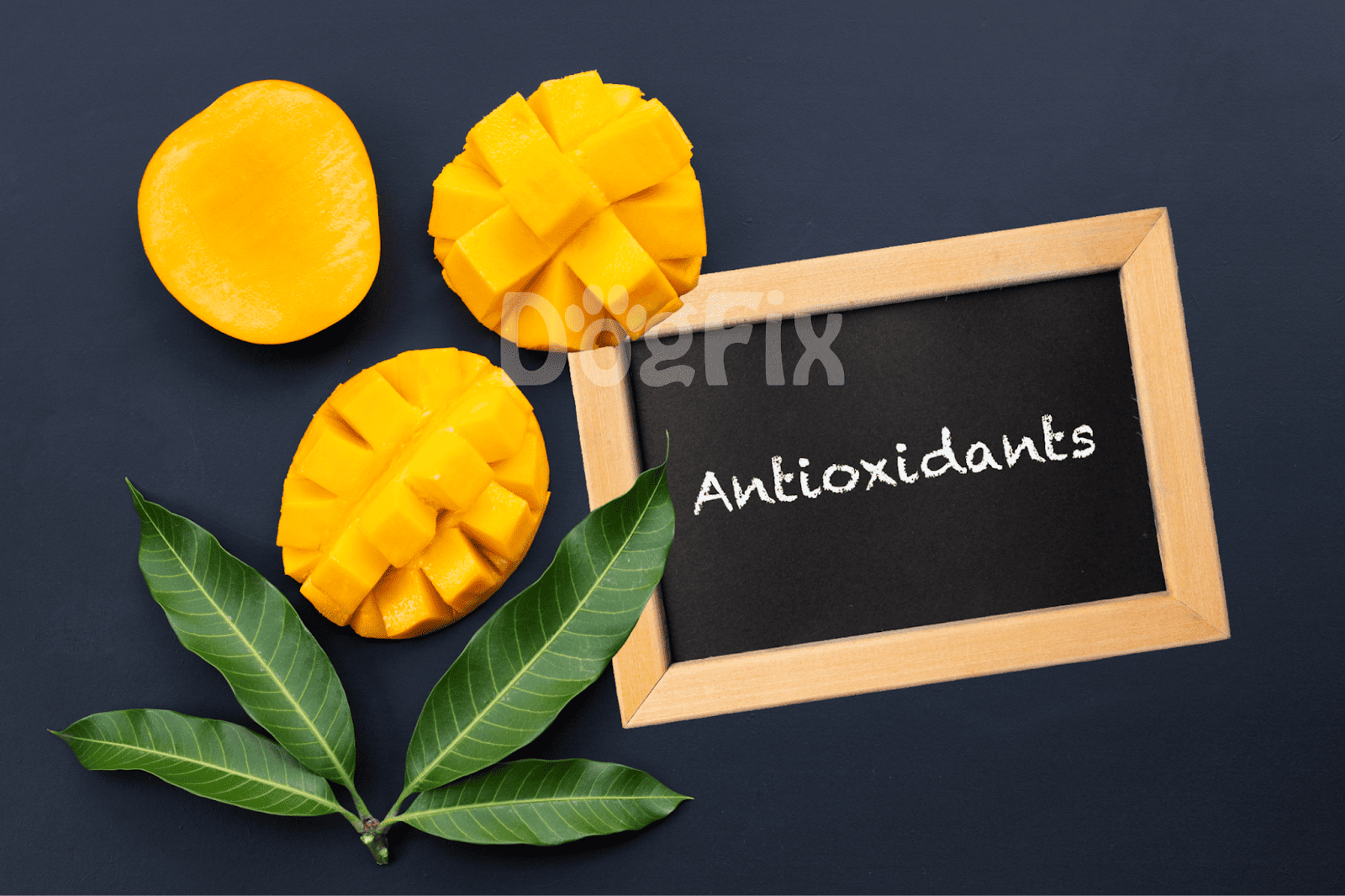 Bright mango slices and green leaves on dark background with "Antioxidants" chalkboard for dog nutrition insights.