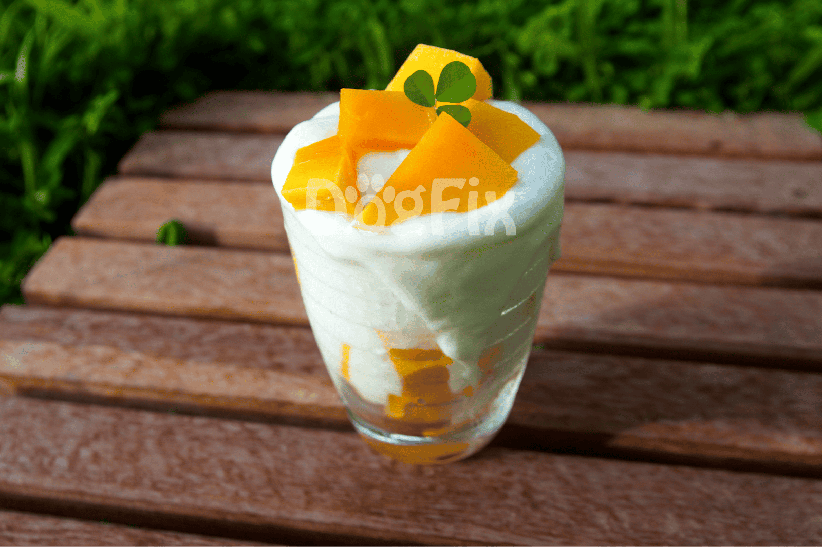 Delicious mango and yogurt parfait with fresh fruit, perfect for summer refreshment.