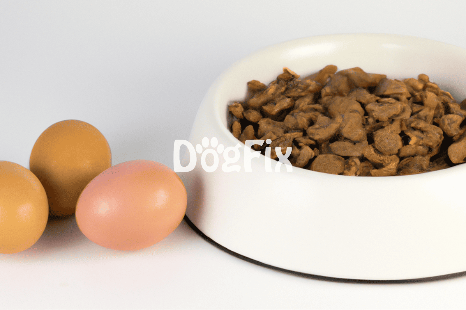 High-quality dog food in a white bowl with eggs for a healthy pet diet.