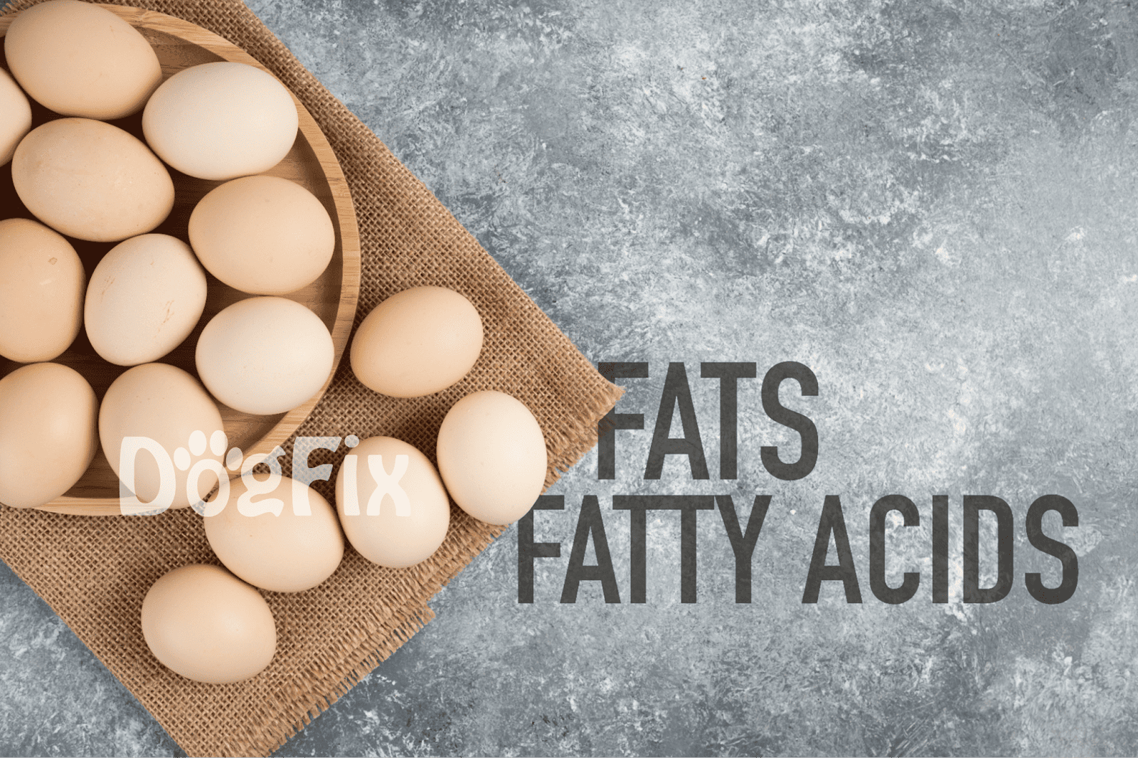 Image shows a bowl of eggs on a textured surface, highlighting diet and health nutrients for dogs.
