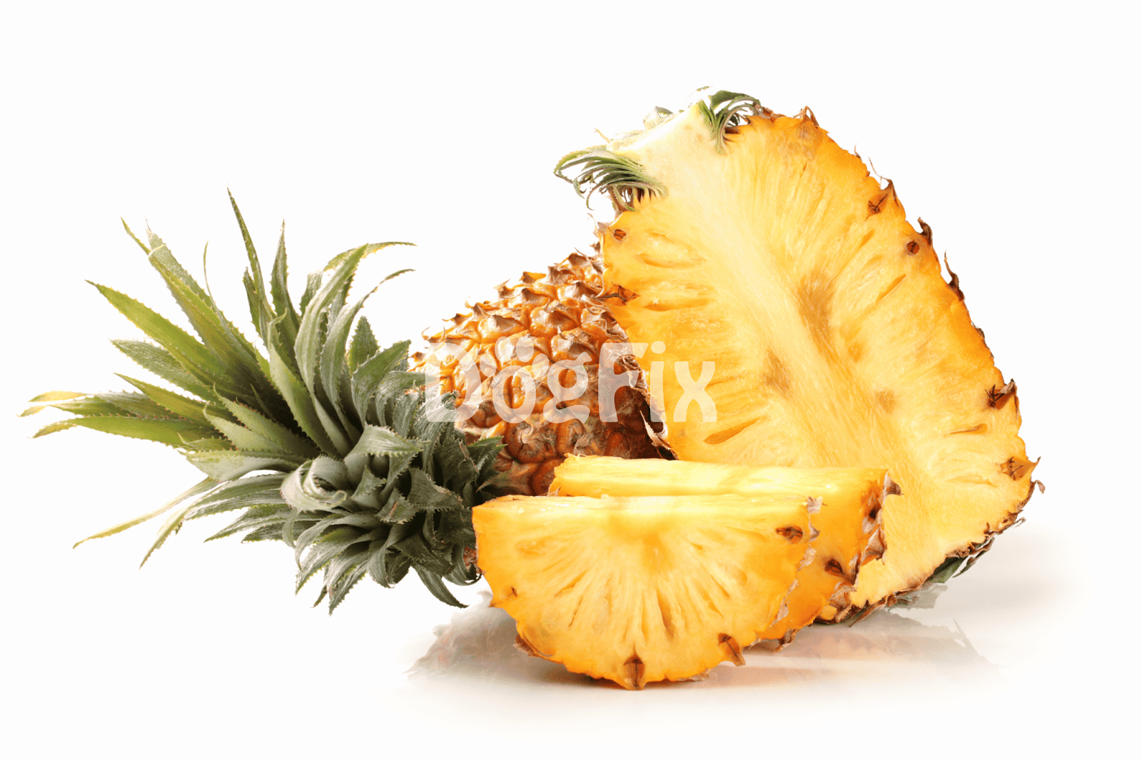 Fresh pineapple slice, healthy dog treat, tropical fruit for canine diet.