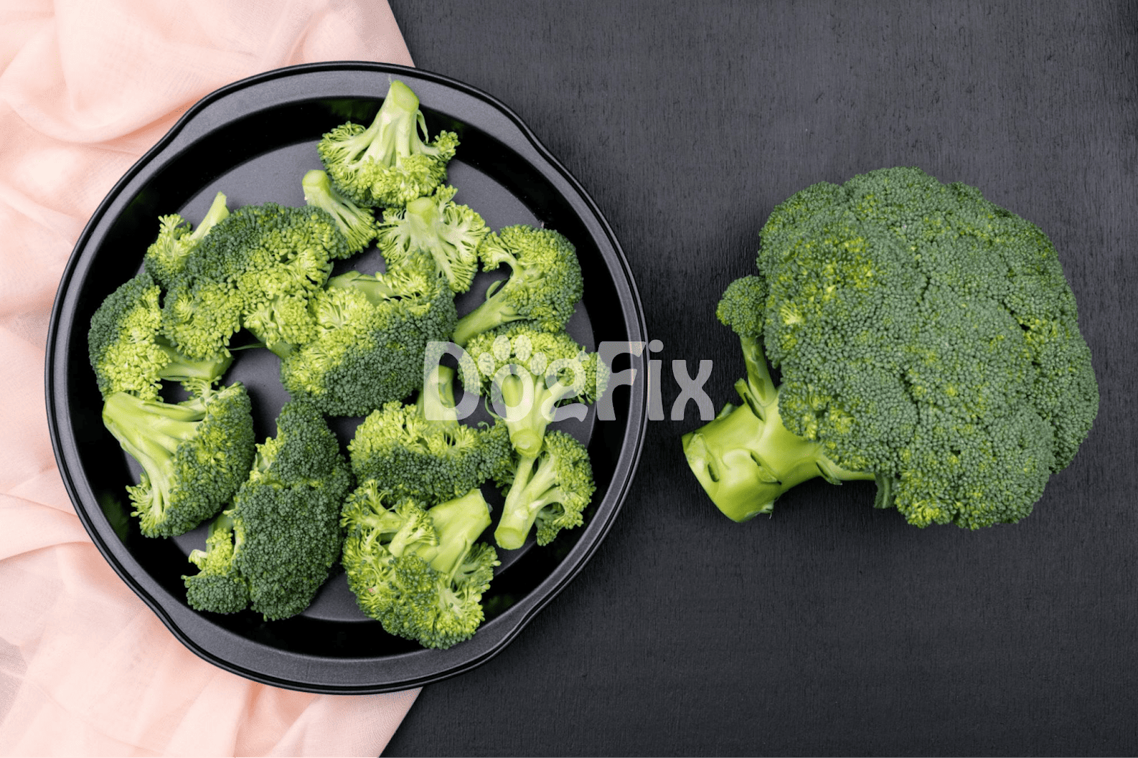 Fresh broccoli prepared for dogs' healthy snacks.