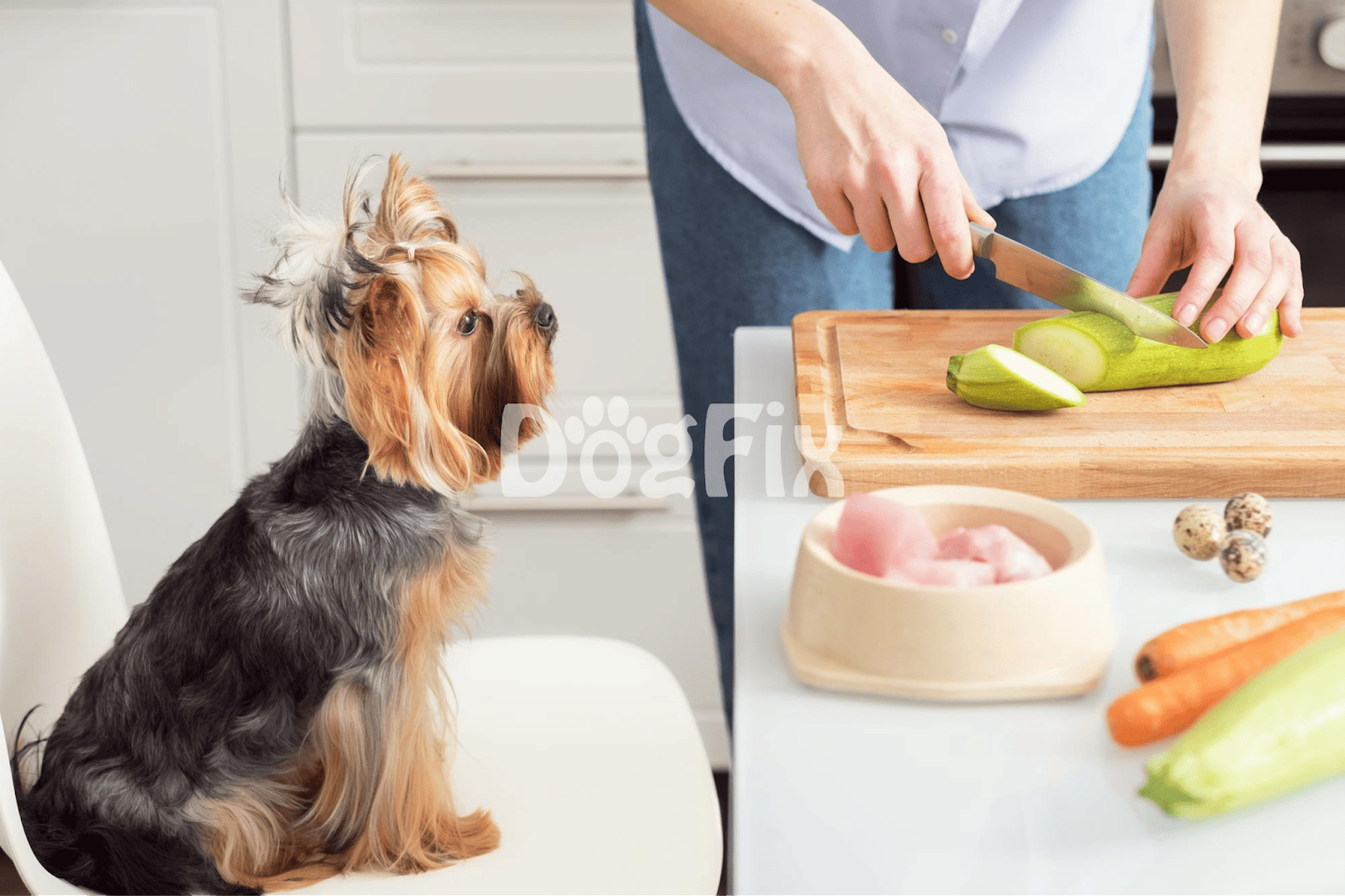 Dog watching owner prepare dog-friendly vegetables and food.