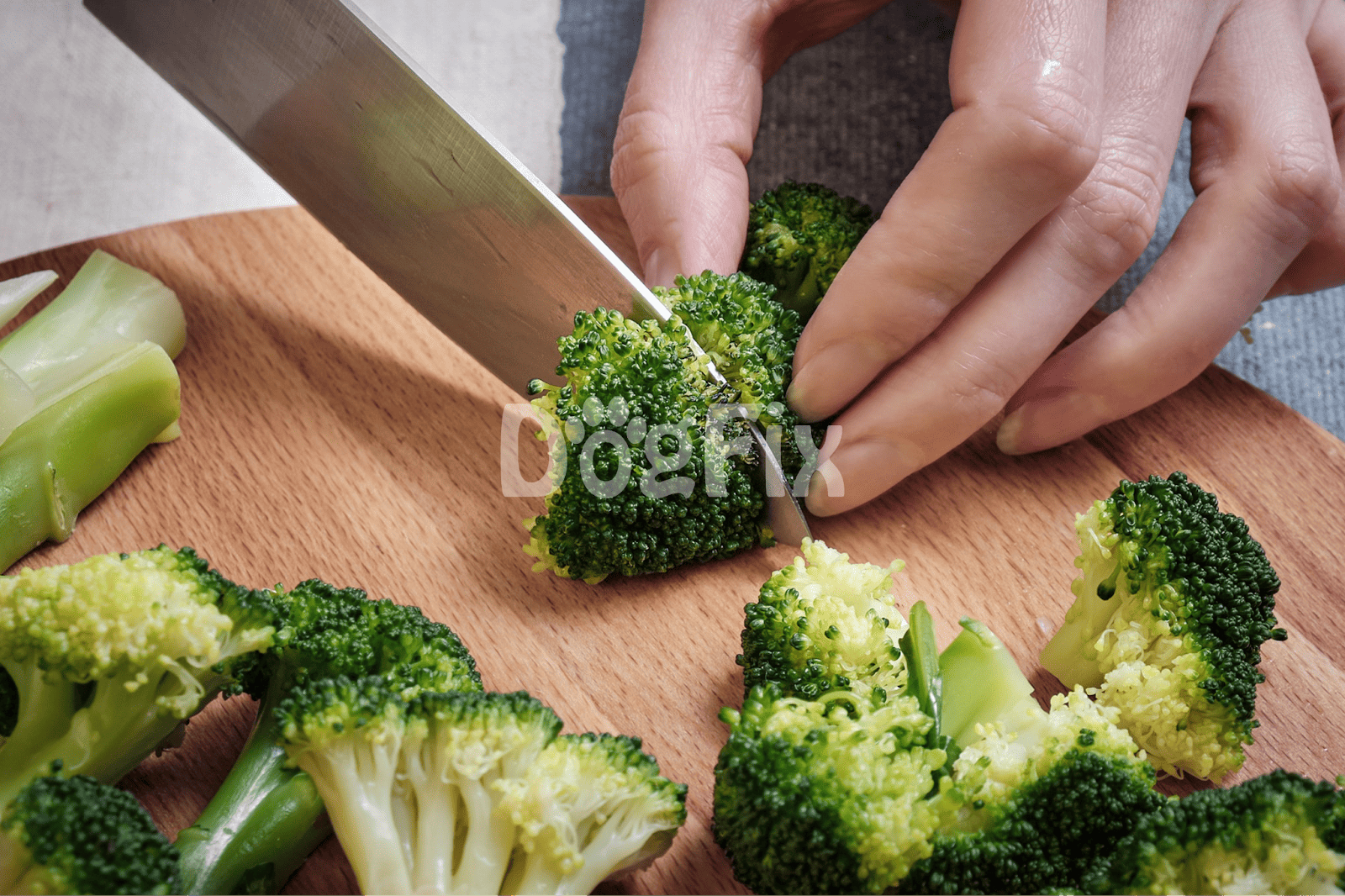 Healthy vegetables prepared for pet or human consumption.