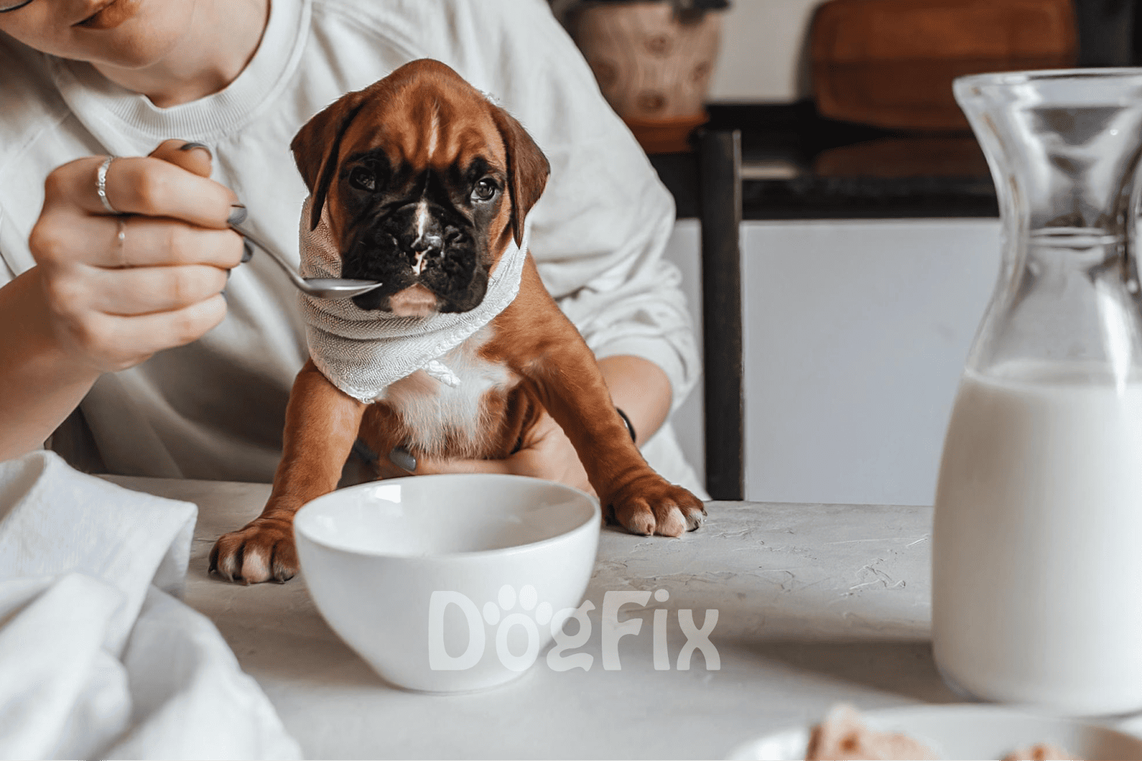 Adorable puppy drinking milk from bowl, caring dog owner providing nutritious pet food, healthy dog lifestyle.