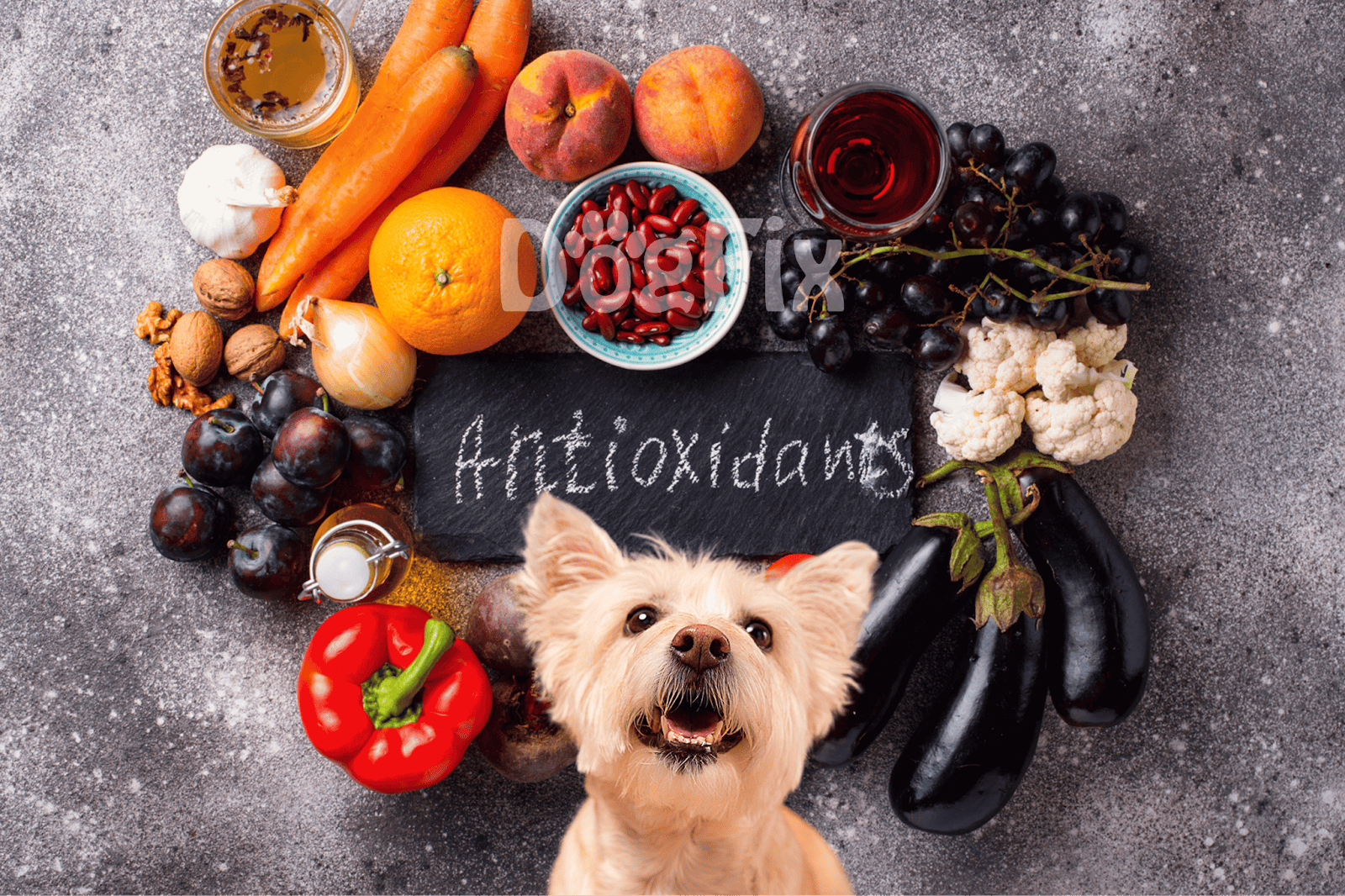 Dog food ingredients for optimal health and antioxidants.