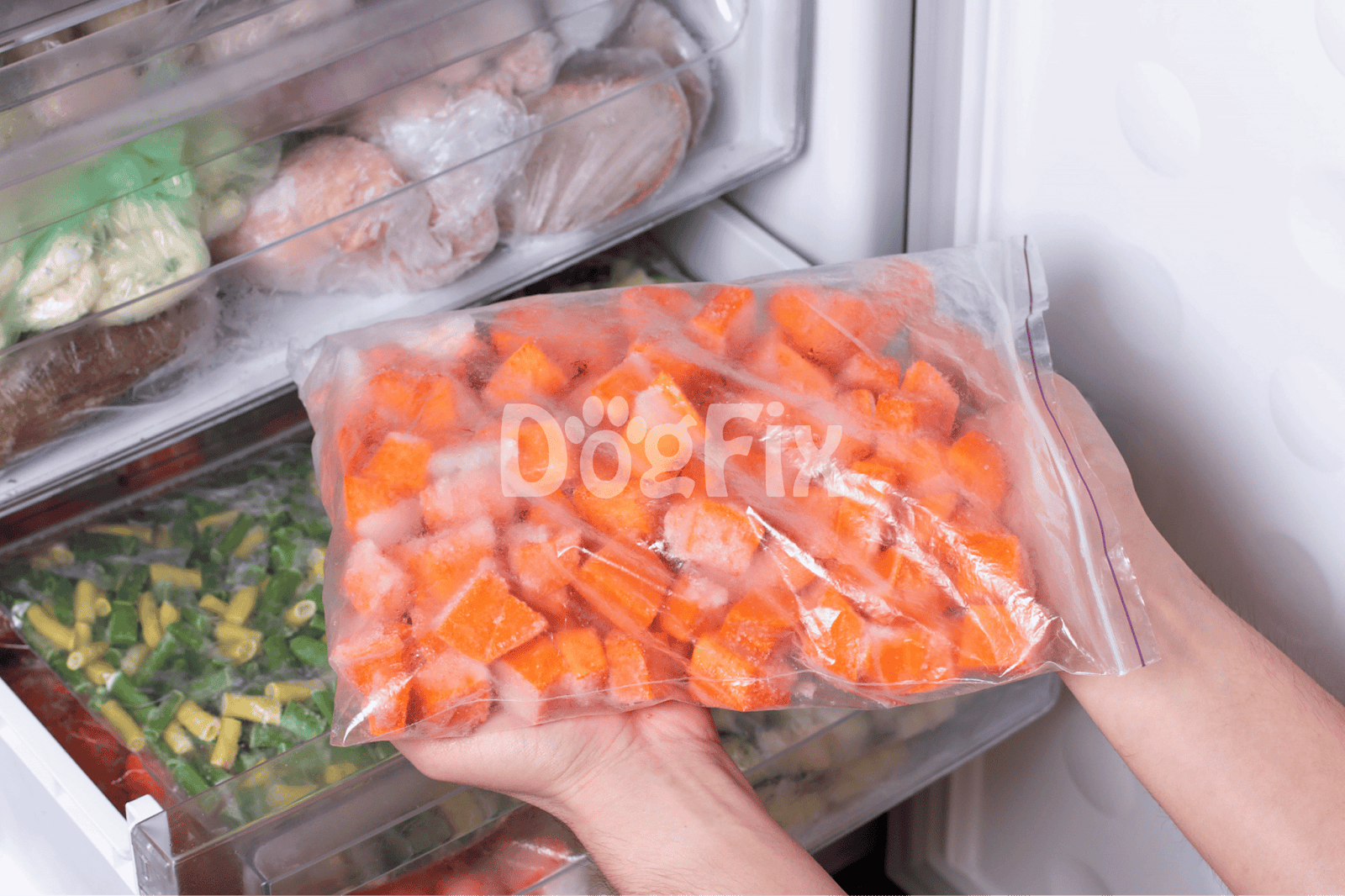 High-quality frozen dog food with nutritious vegetables stored in a freezer.