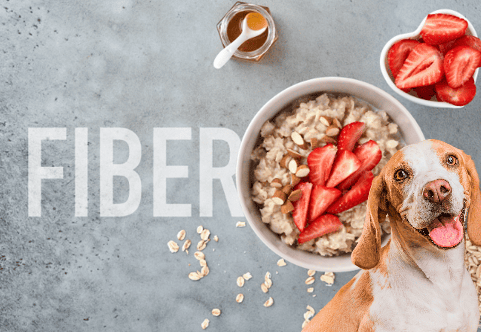 Dog food with strawberries, oatmeal, and nuts for healthy dogs.