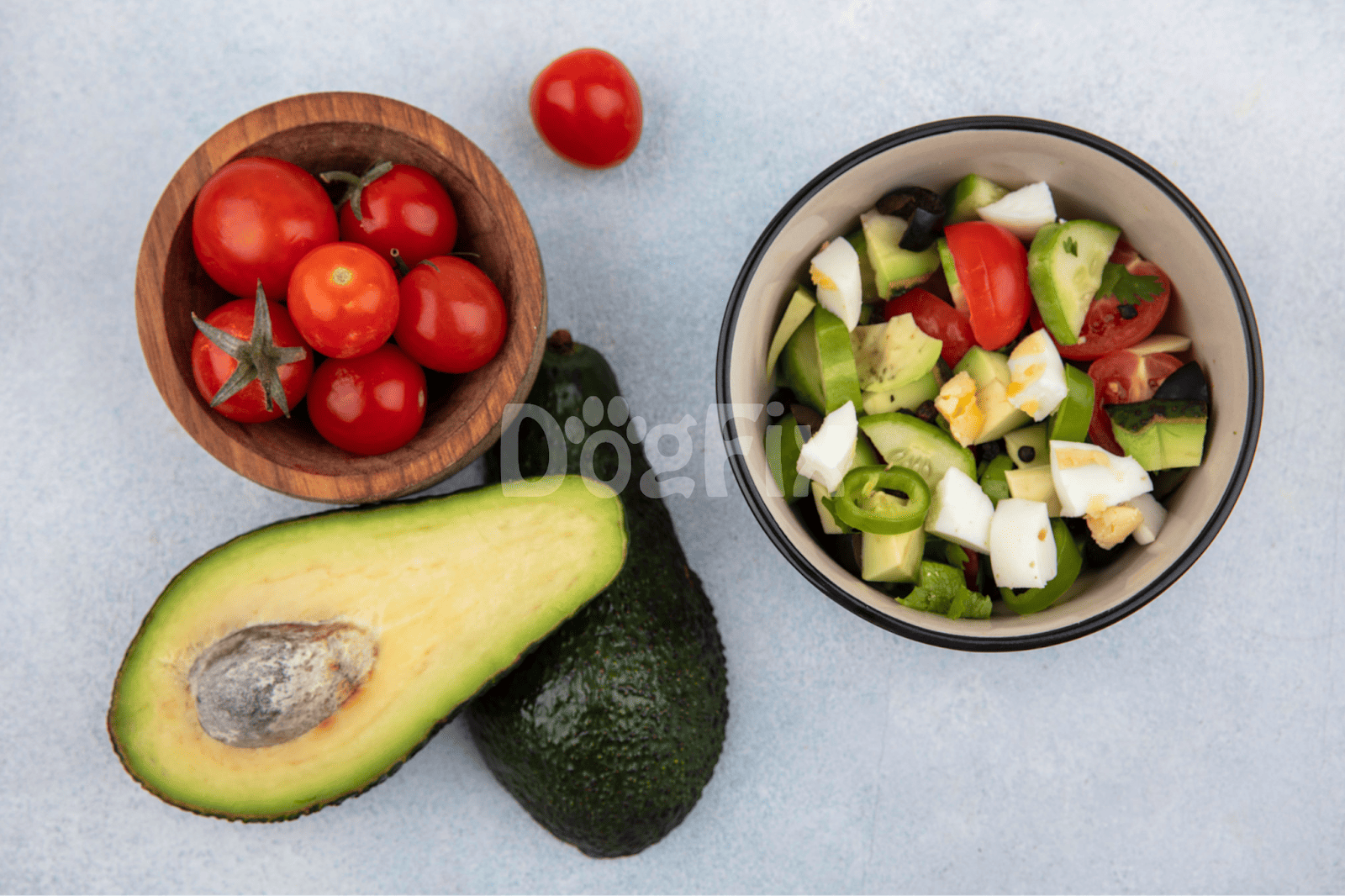 Fresh heirloom tomatoes, avocado, and vegetable salad for dogs.