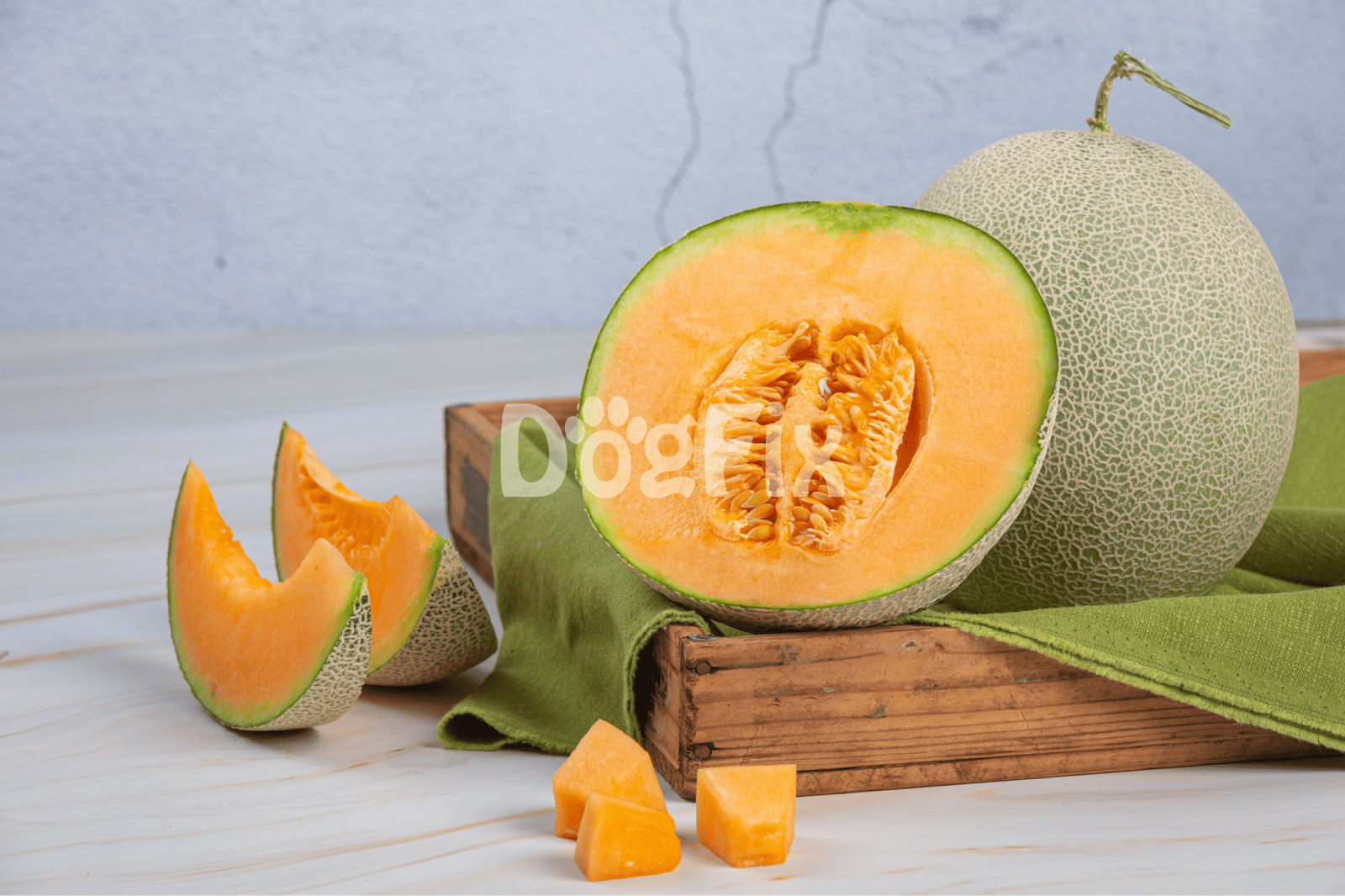Fresh cantaloupe offers healthy hydration for dogs, rich in vitamins and nutrients.