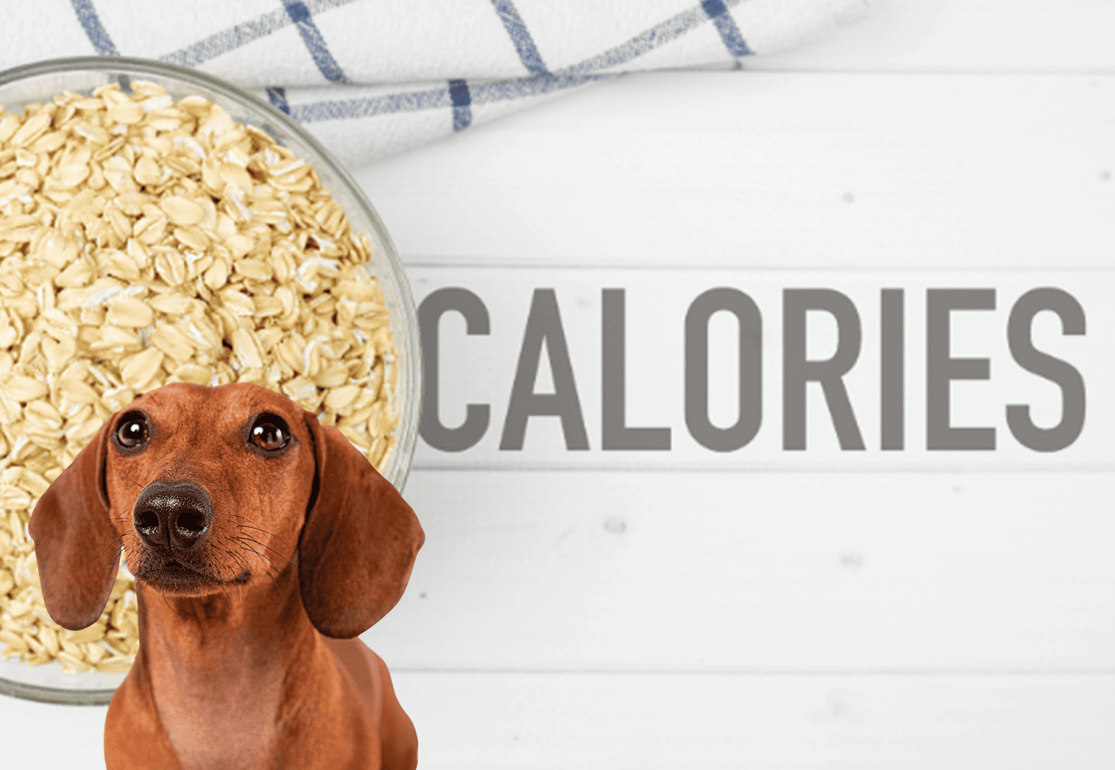 Dog dog food with oats and carbs for weight management.