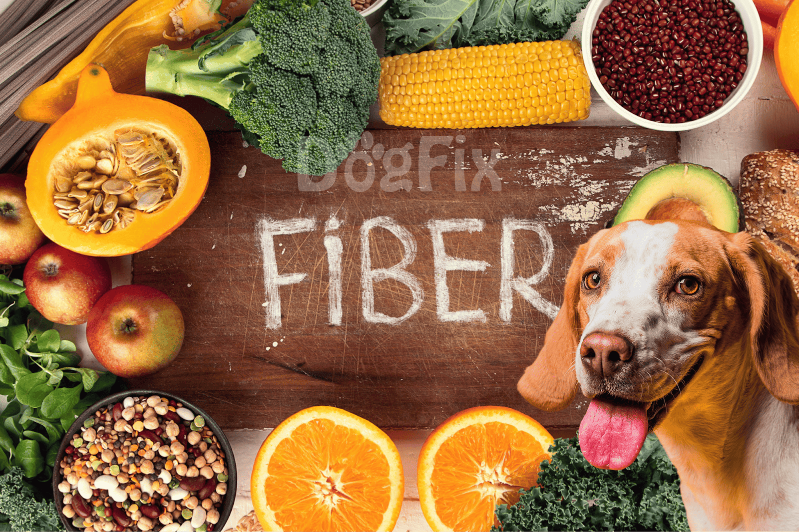Bright, colorful dog food ingredients with fruits and vegetables.