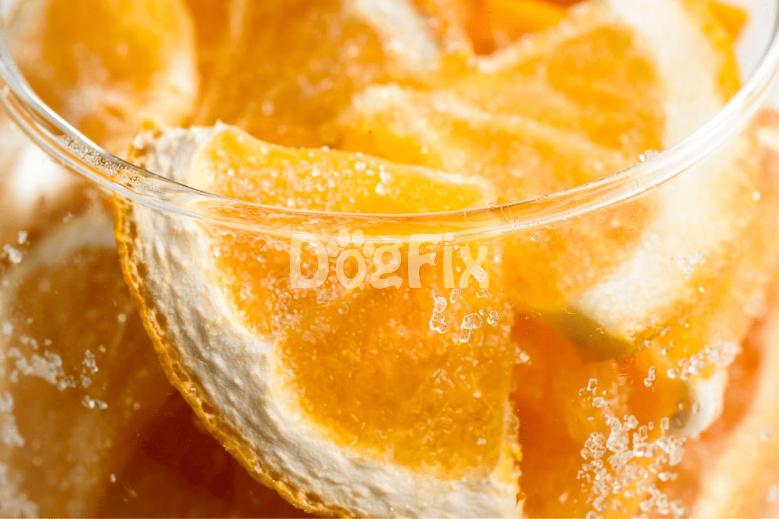 Close-up of fresh citrus slices, highlighting their texture and vibrant color, perfect for dog diet.