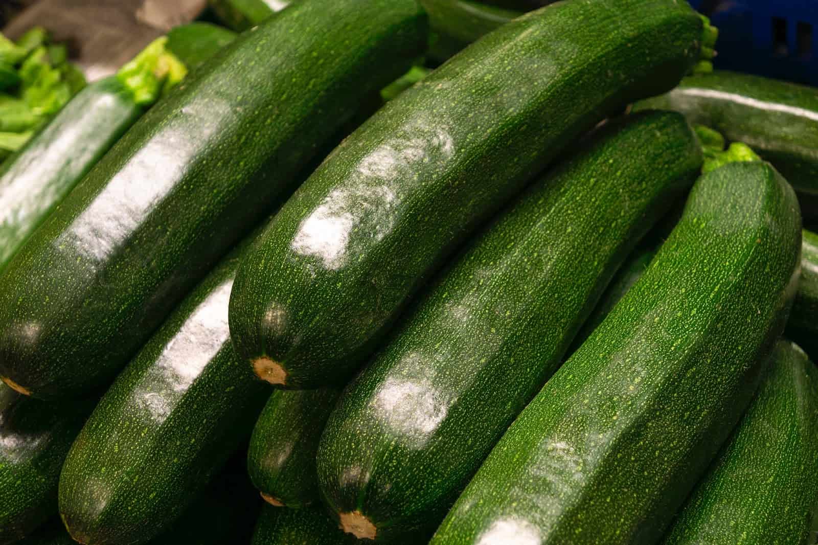 Zucchini, fresh vegetables, healthy diet, dog food ingredients, green zucchini, farm-fresh produce.