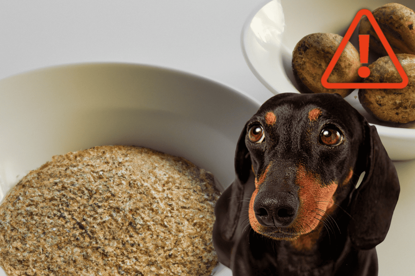 Warning sign about toxic dog food ingredients endangering pets’ health.