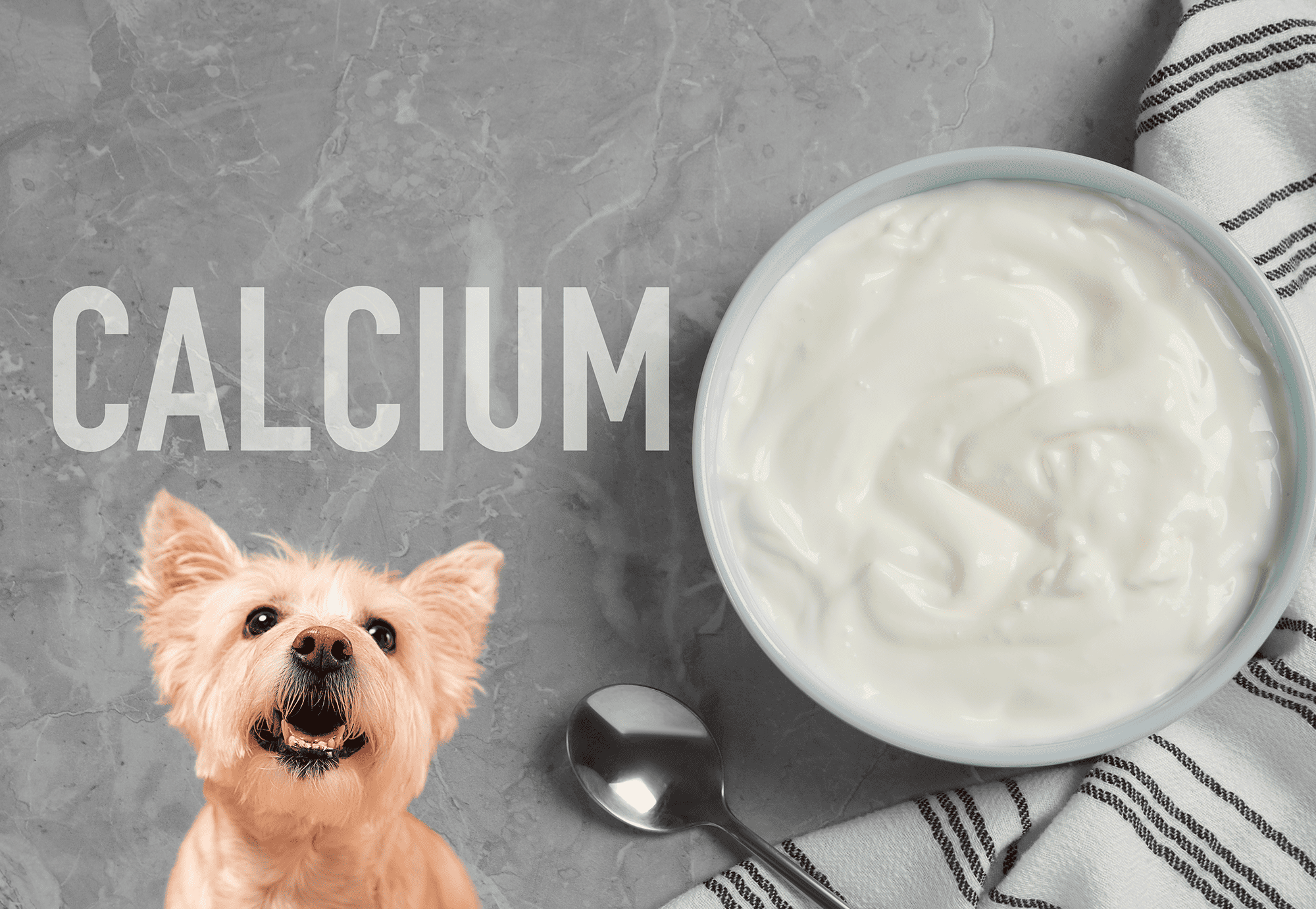 Calcium-rich dog supplement for strong bones and teeth. Perfect for pet owners prioritizing pet health and nutrition.