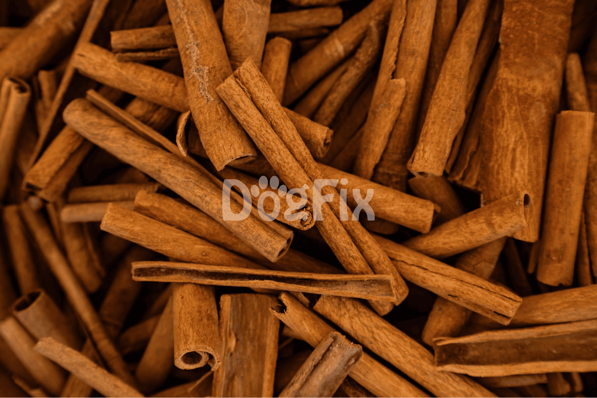 Cinnamon sticks close-up, organic spice for dog health and treats.