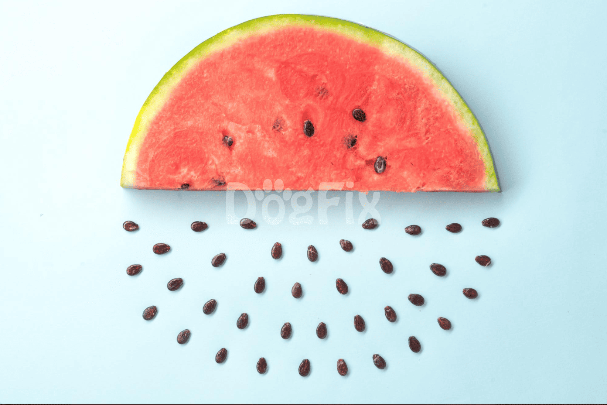Vibrant watermelon slice with black seeds on pastel blue surface, fresh and juicy.